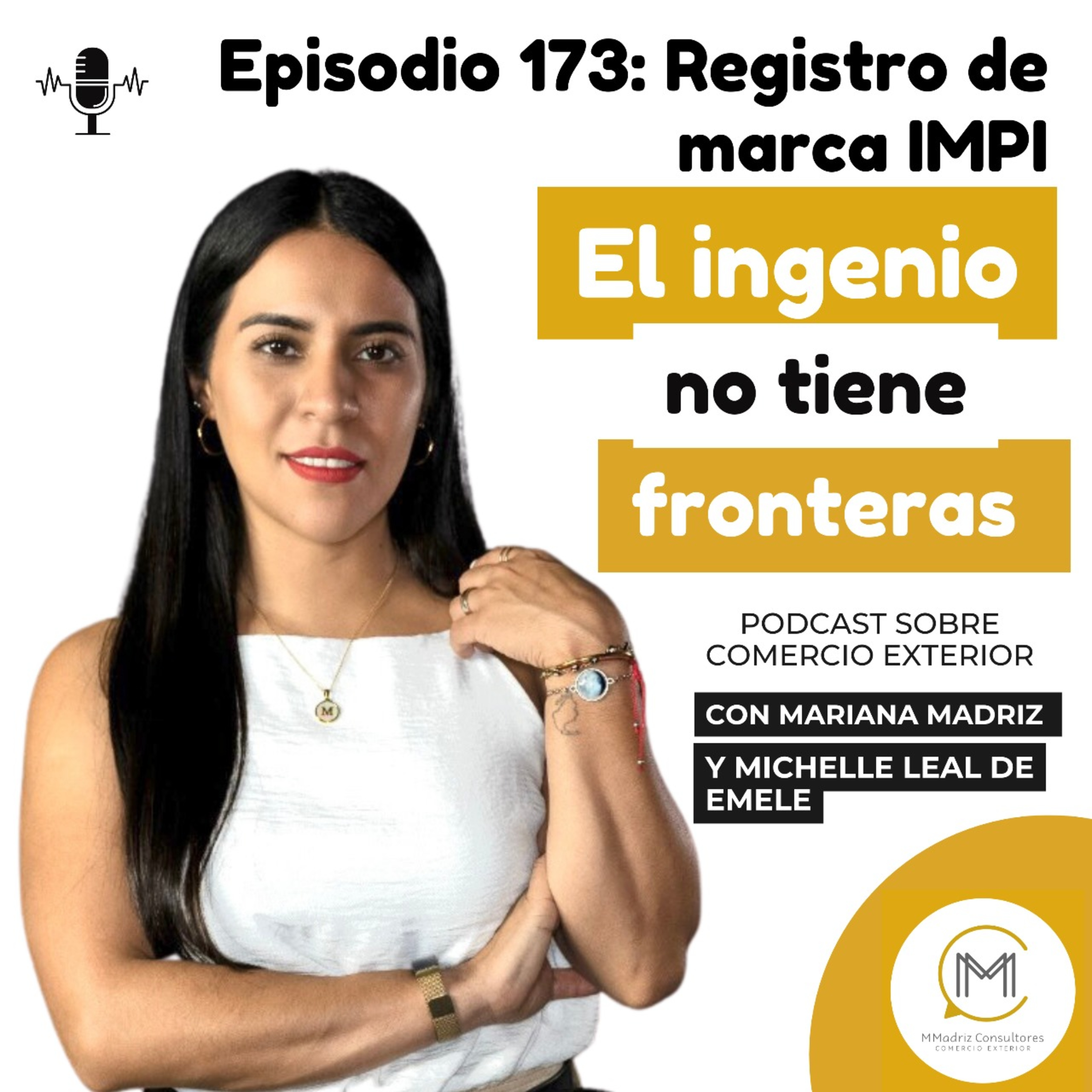 Portada de El ingenio NO tiene fronteras