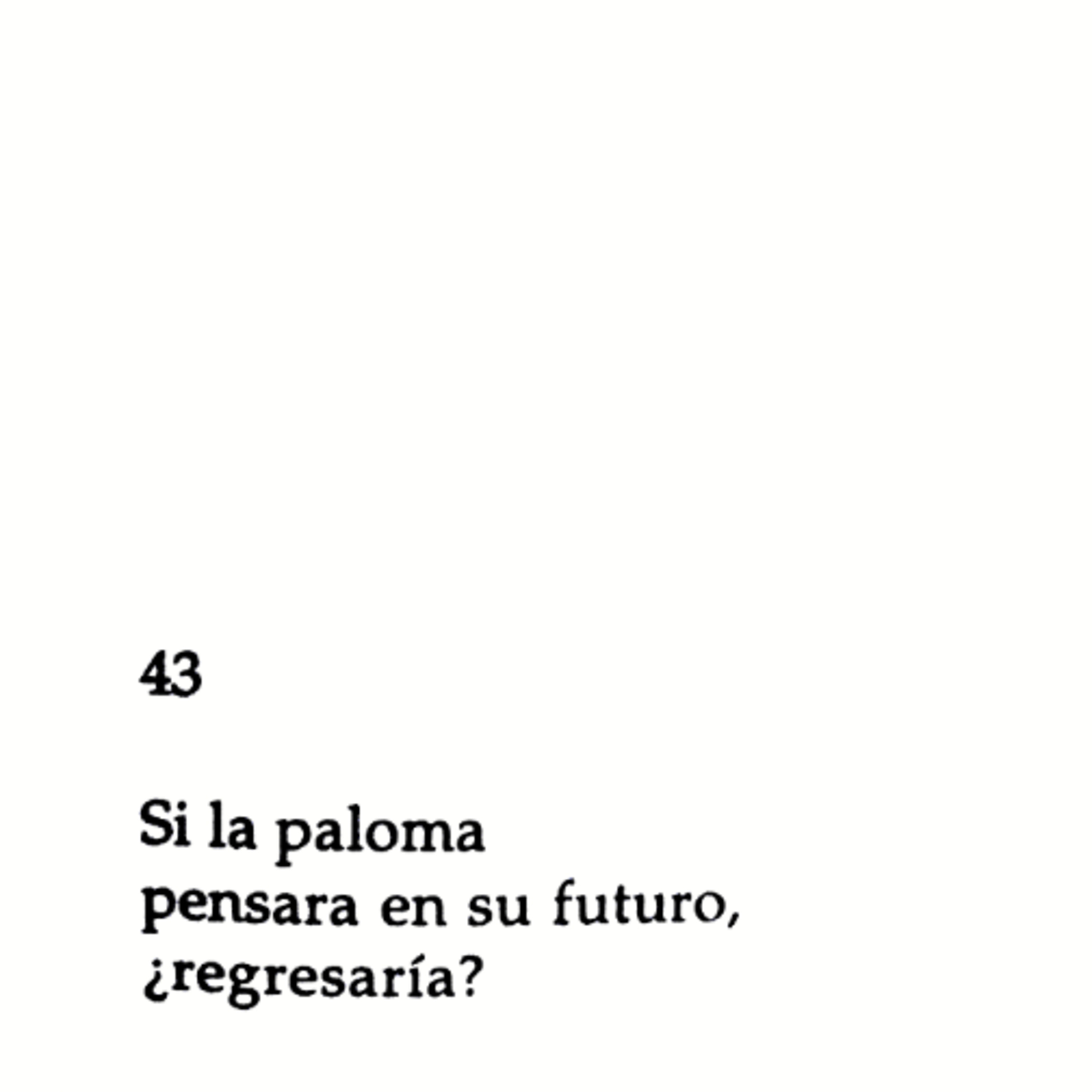 Fortunato E. Nari y sus Haikus, desarrollo de uno en particular ☄️✨📚 Fortunato E. Nari y sus Haikus, desarrollo de uno en particular ☄️✨📚