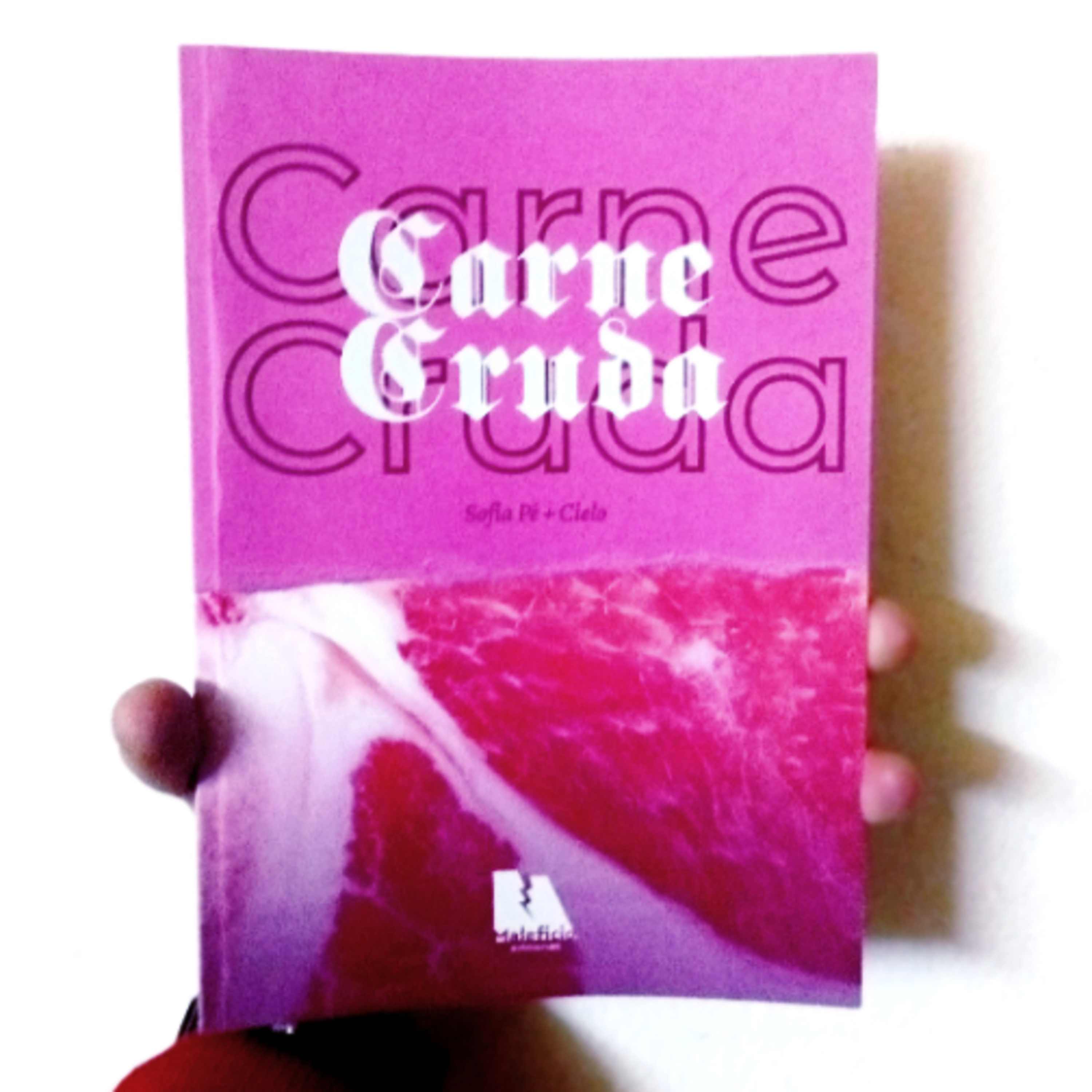 Recomendación: 🥩✨🌈 CARNE CRUDA, Cielo + Sofía Pé, Última Carta 🥩✨🌈 Gays, escuchas y lecturones. episode artwork