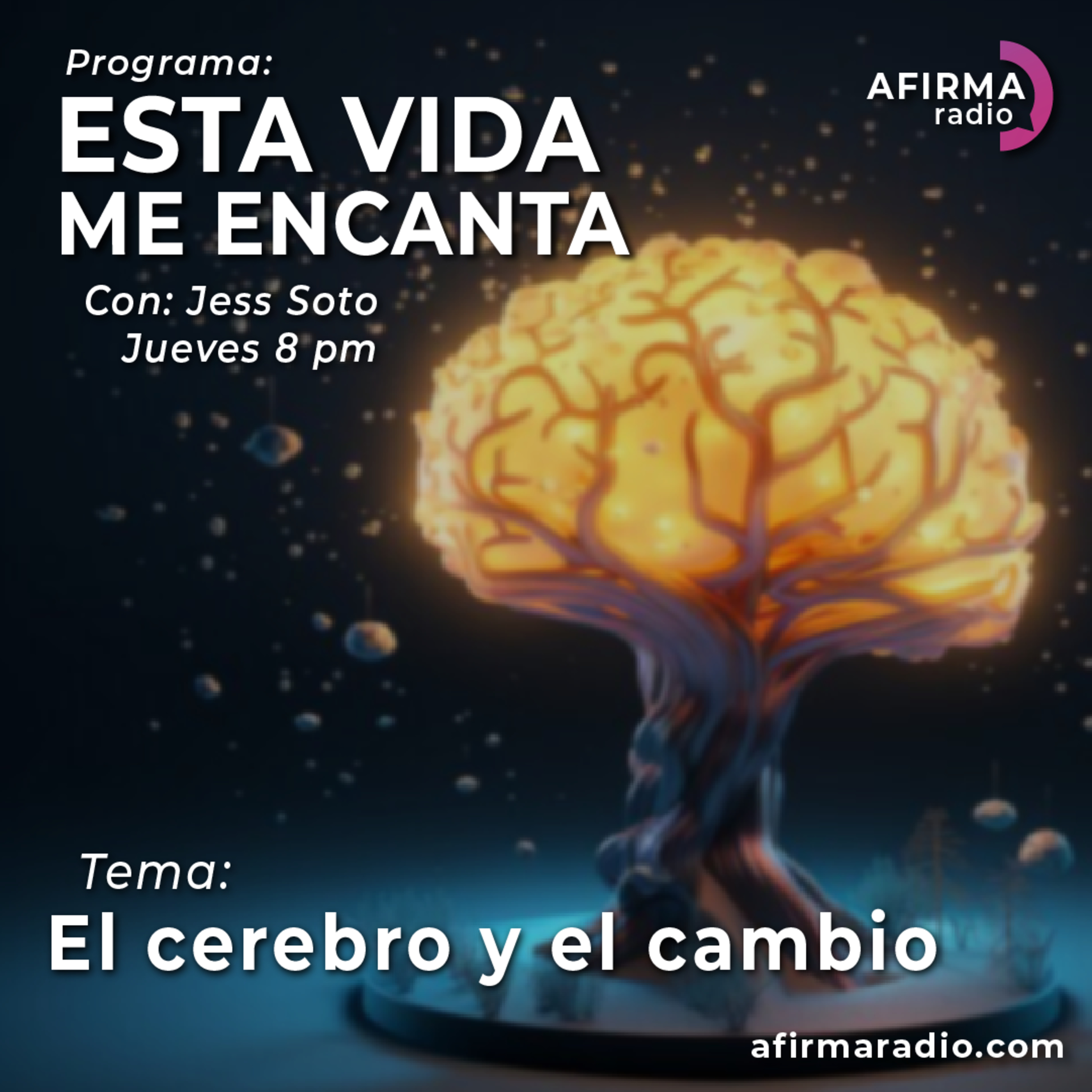 Esta vida me encanta.