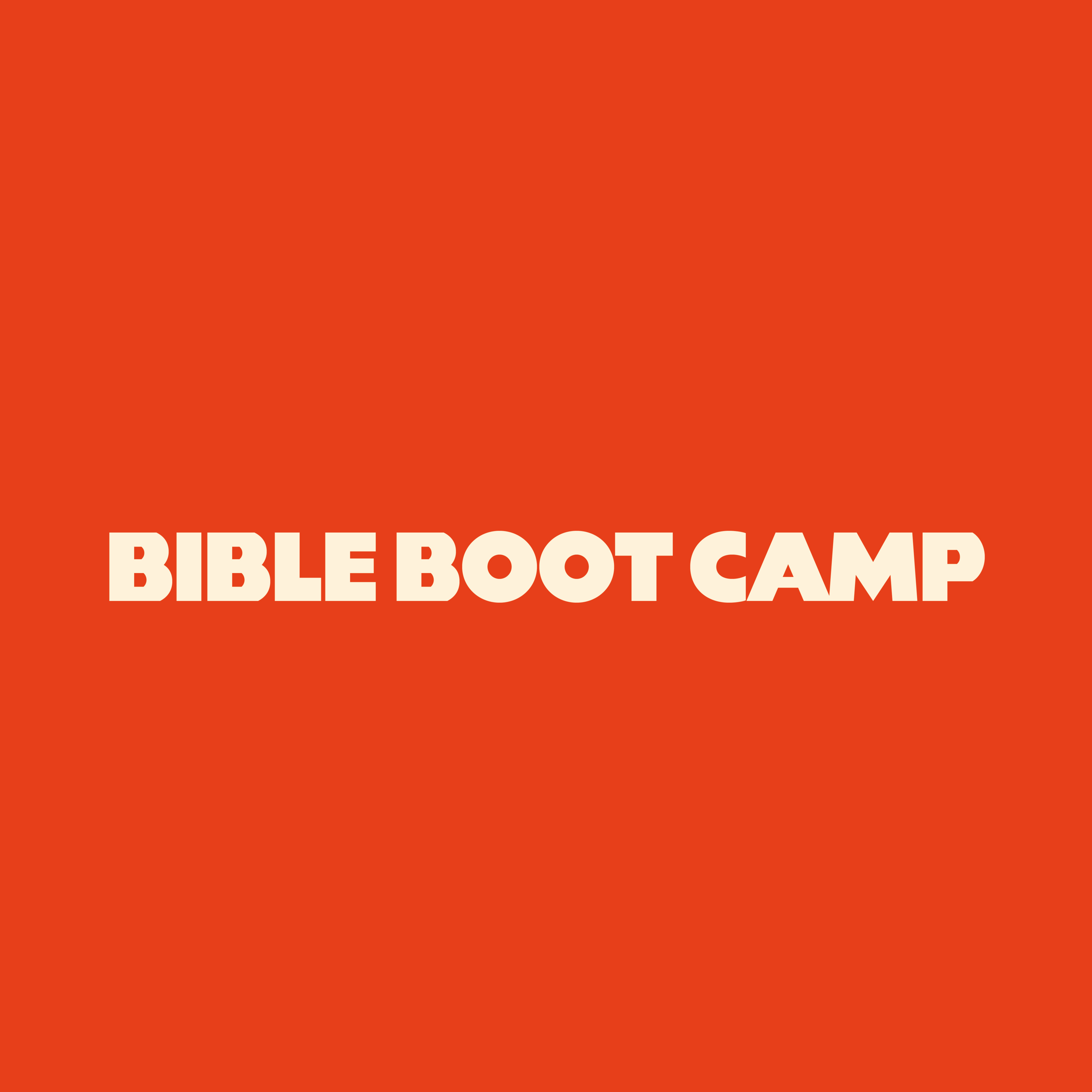 Bible Bootcamp episode artwork