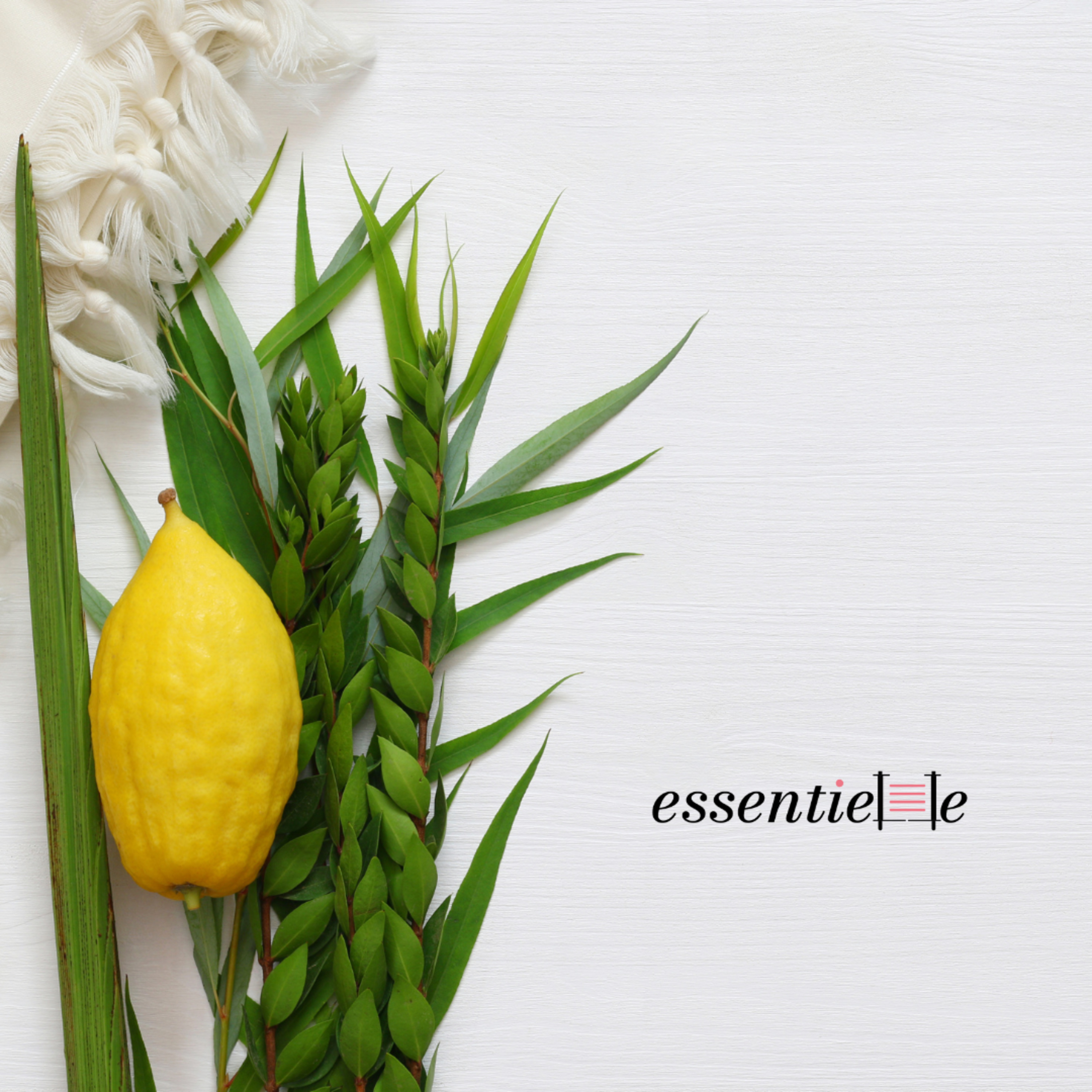 essentielle by Mariacha Drai