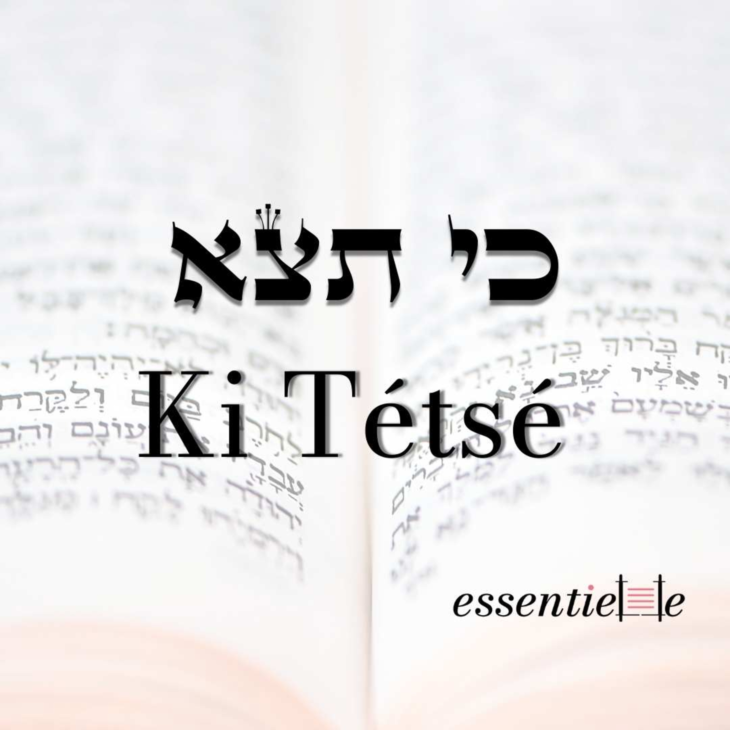 5784 - Ki Tétsé - Il faut gagner cette guerre ! episode artwork