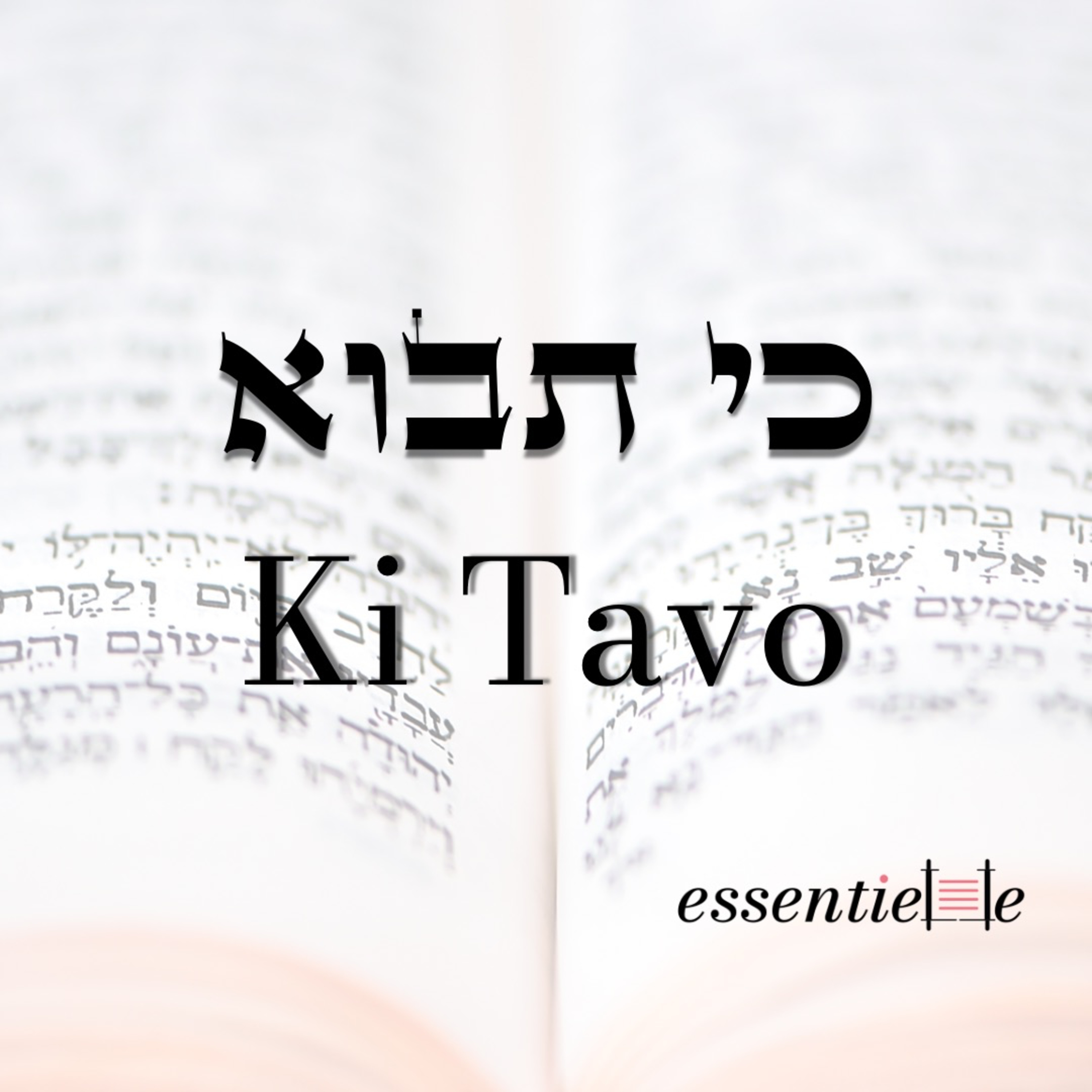 5784 - Ki Tavo - Un peuple capable episode artwork