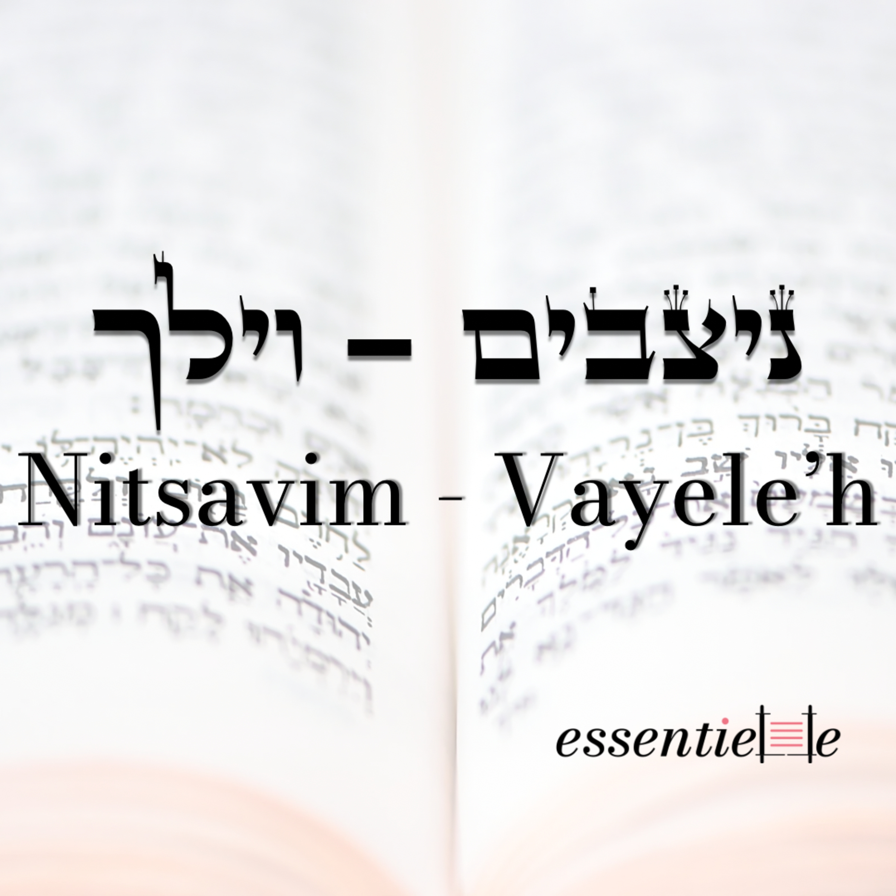 5784 - Nitsavim Vayeleh - Choisis la vie episode artwork