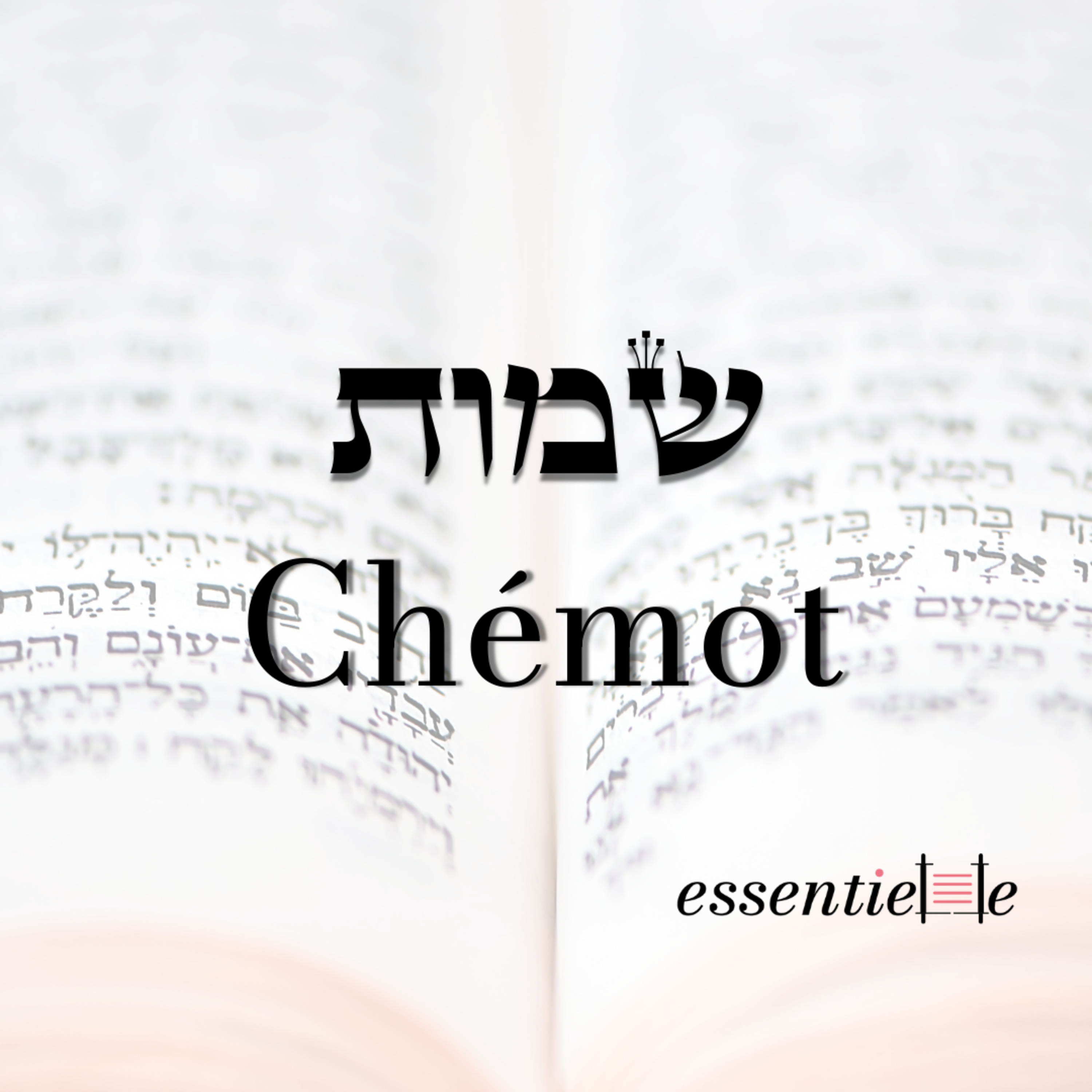 5785 - Chemot - Qui suis-je ? Se dépouiller de soi pour rencontrer l'autre episode artwork