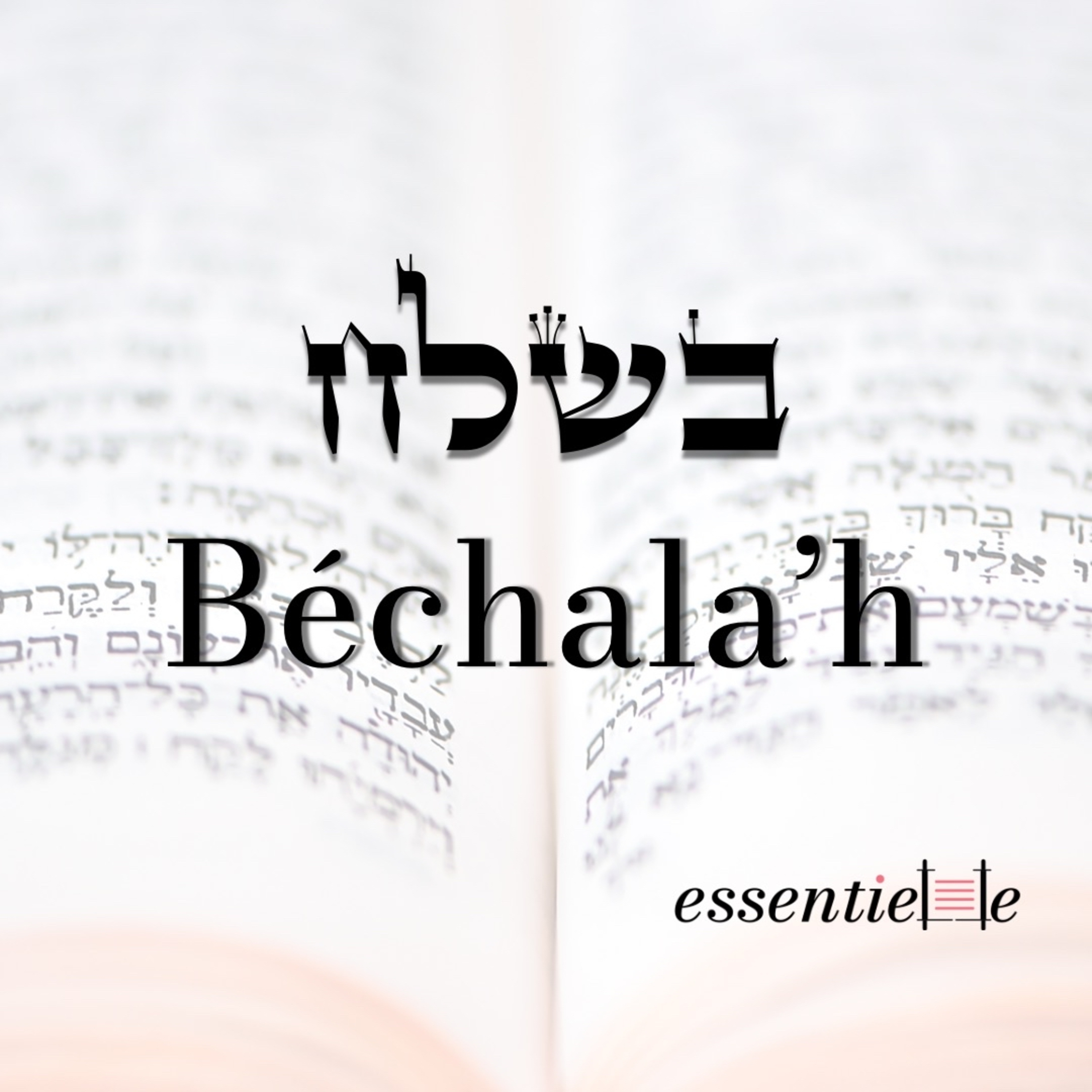5785 - Béchala’h - Osez oser ! episode artwork