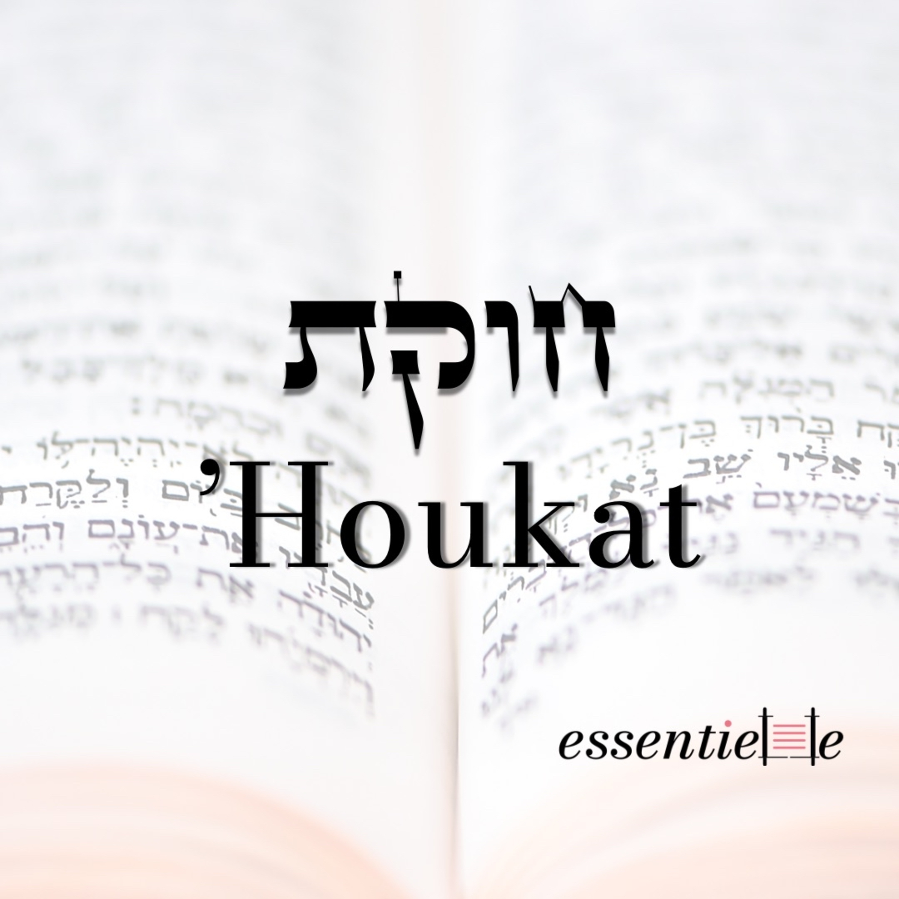 5785 - Houkat - Le secret de la résilience d'Israël episode artwork