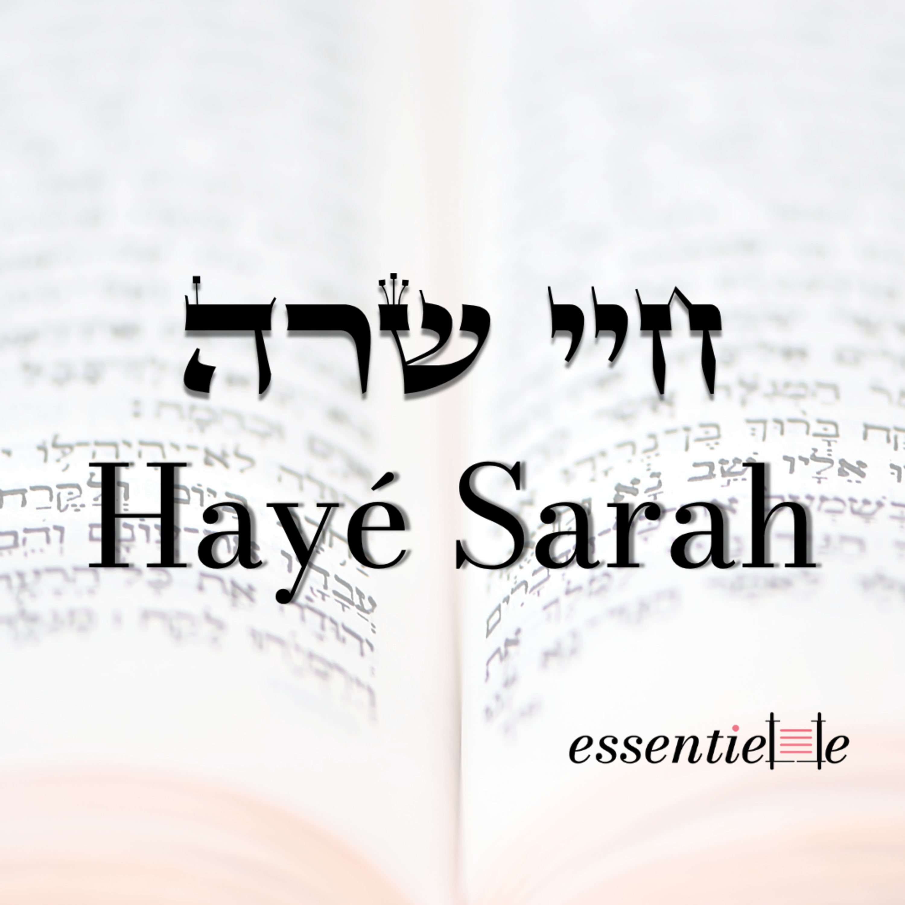 5786 - Hayé Sarah - les 3 frontières à réparer  episode artwork