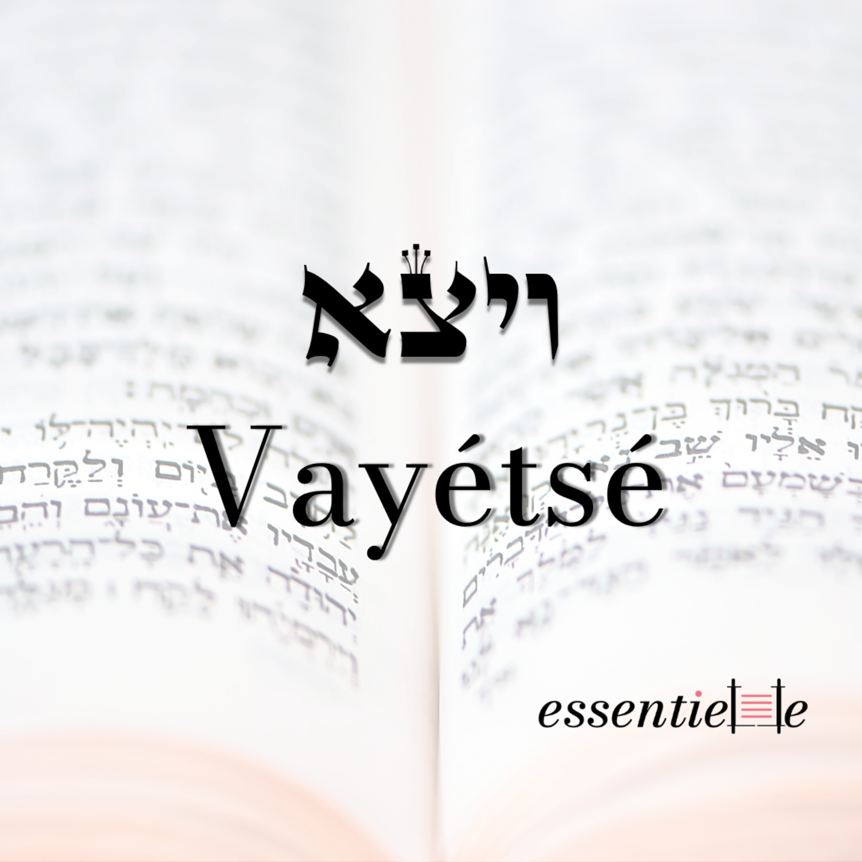 5786 - Vayétsé - Construire un lien d'intimité episode artwork