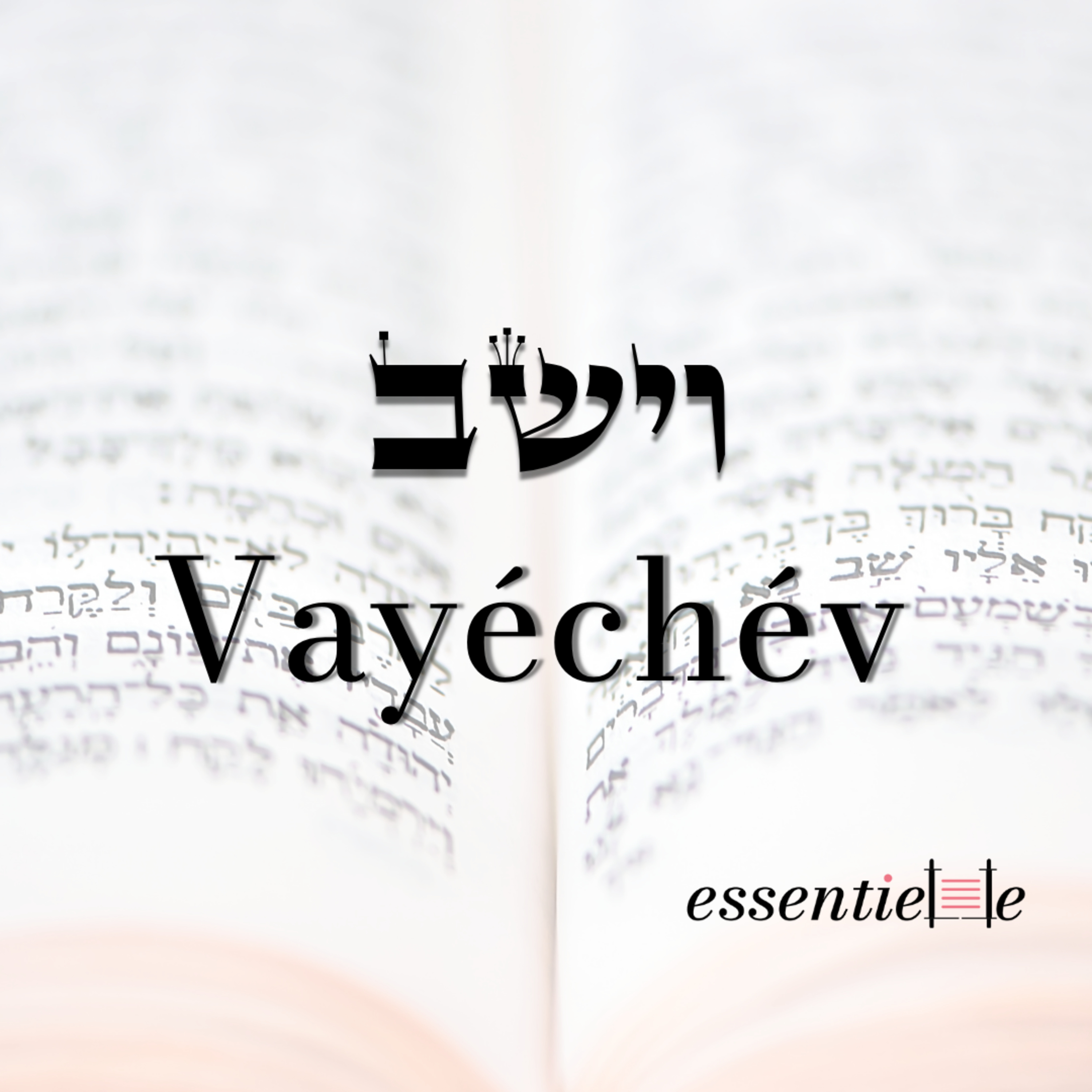 5786 - Vayéchév - Transformer les rêves en réalité episode artwork