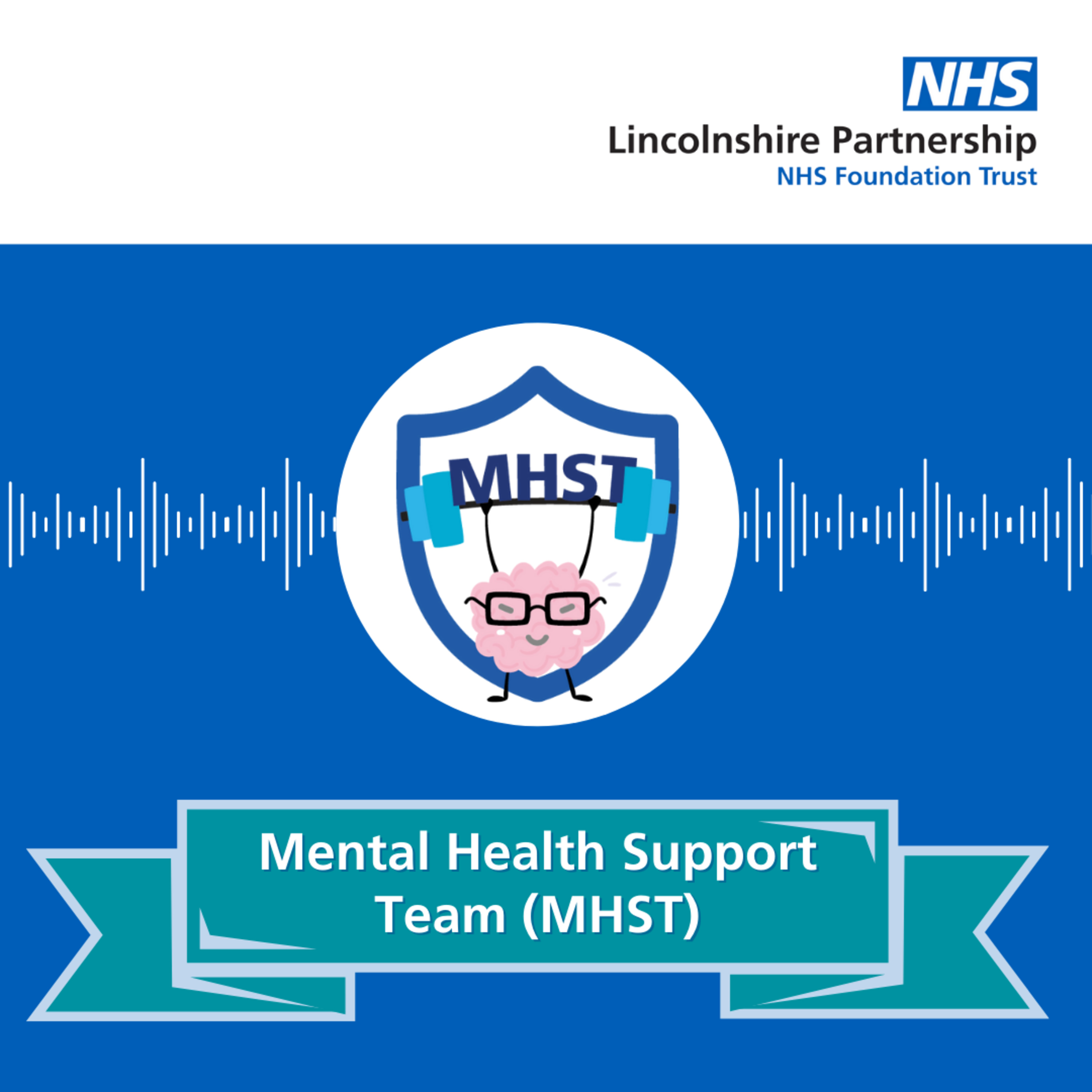 Lincolnshire Partnership NHS Foundation Trust (LPFT)