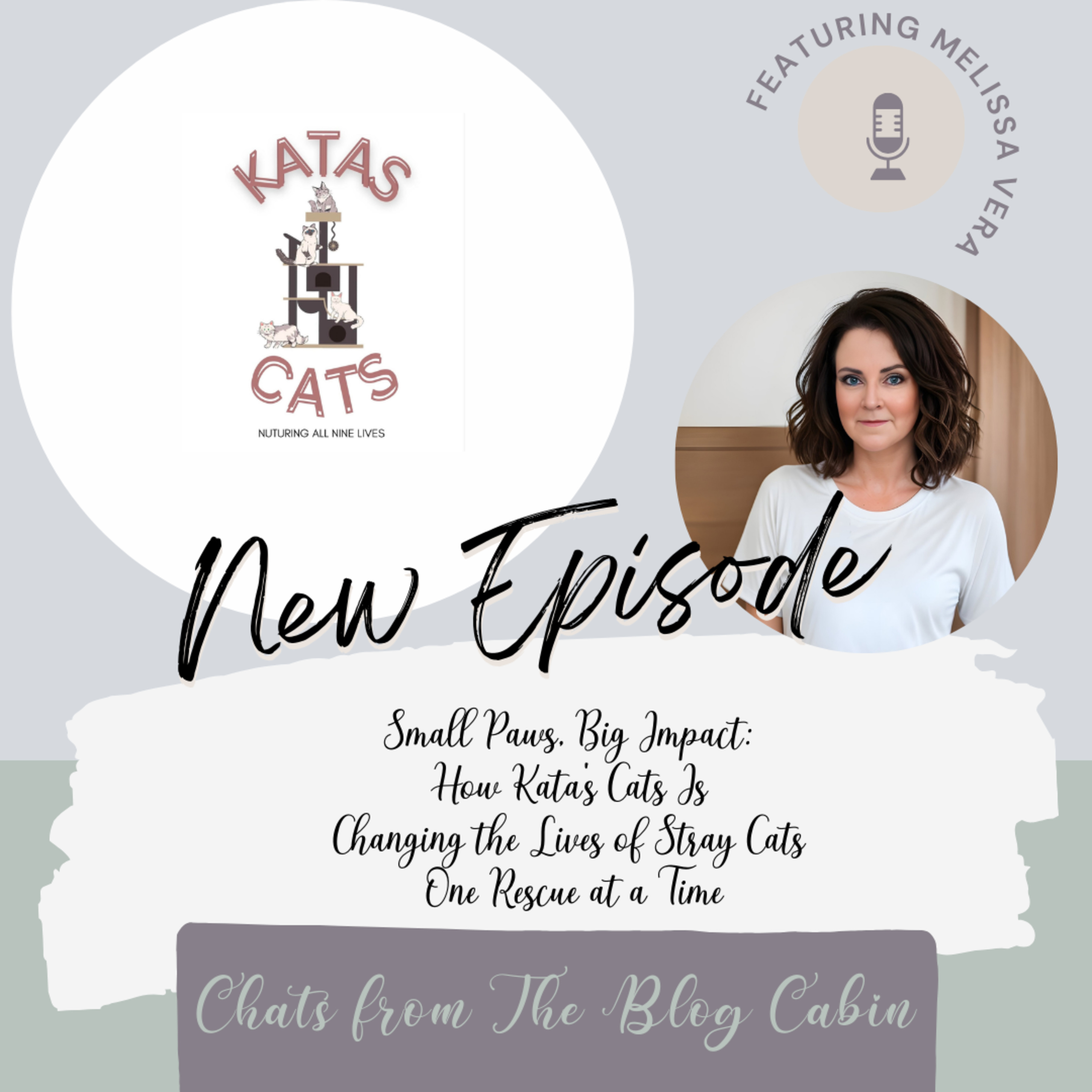 Small Paws, Big Impact: How Kata’s Cats Is Changing the Lives of Stray Cats One Rescue at a Time episode artwork