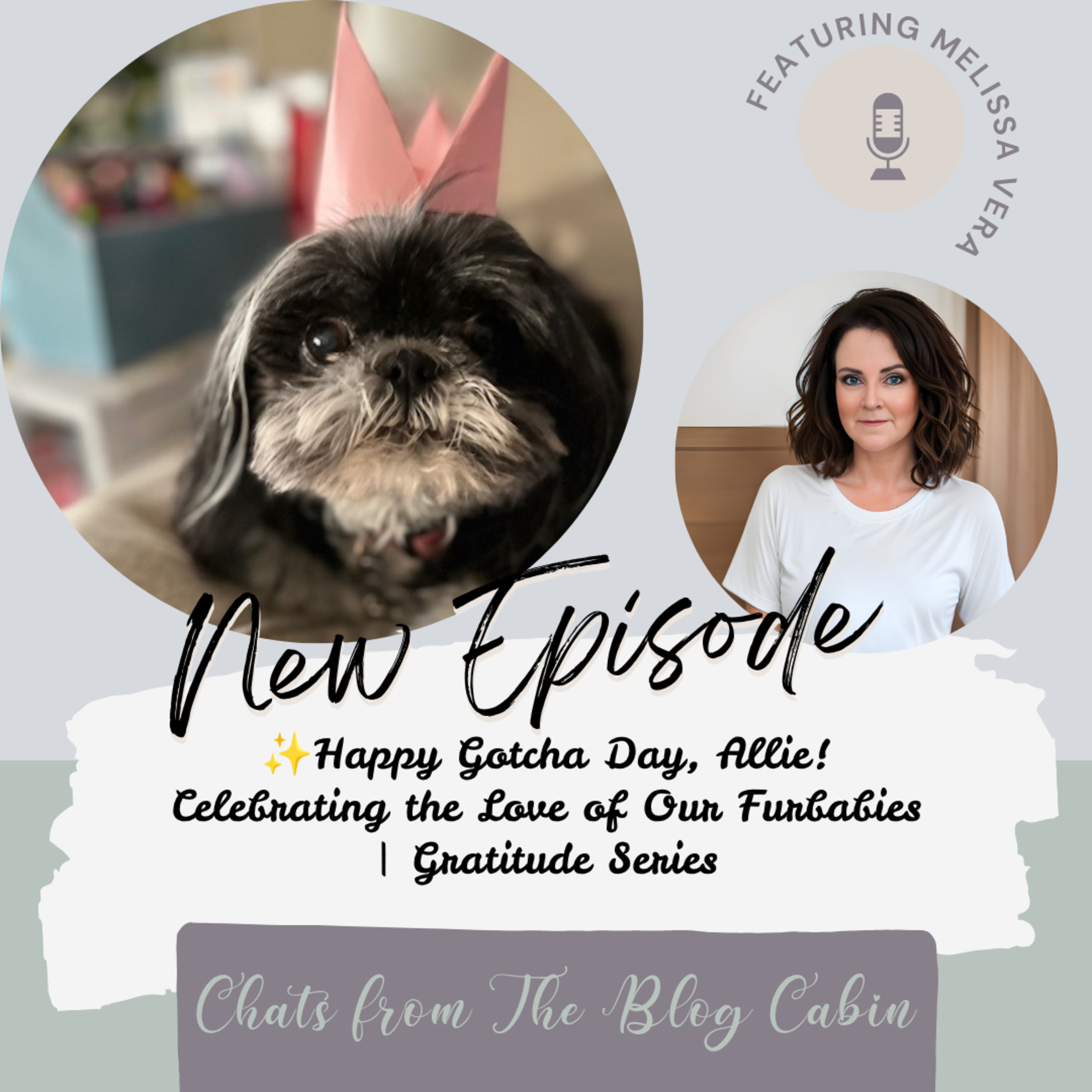 Happy Gotcha Day, Allie! Celebrating the Love of Our Furbabies | Gratitude Series episode artwork