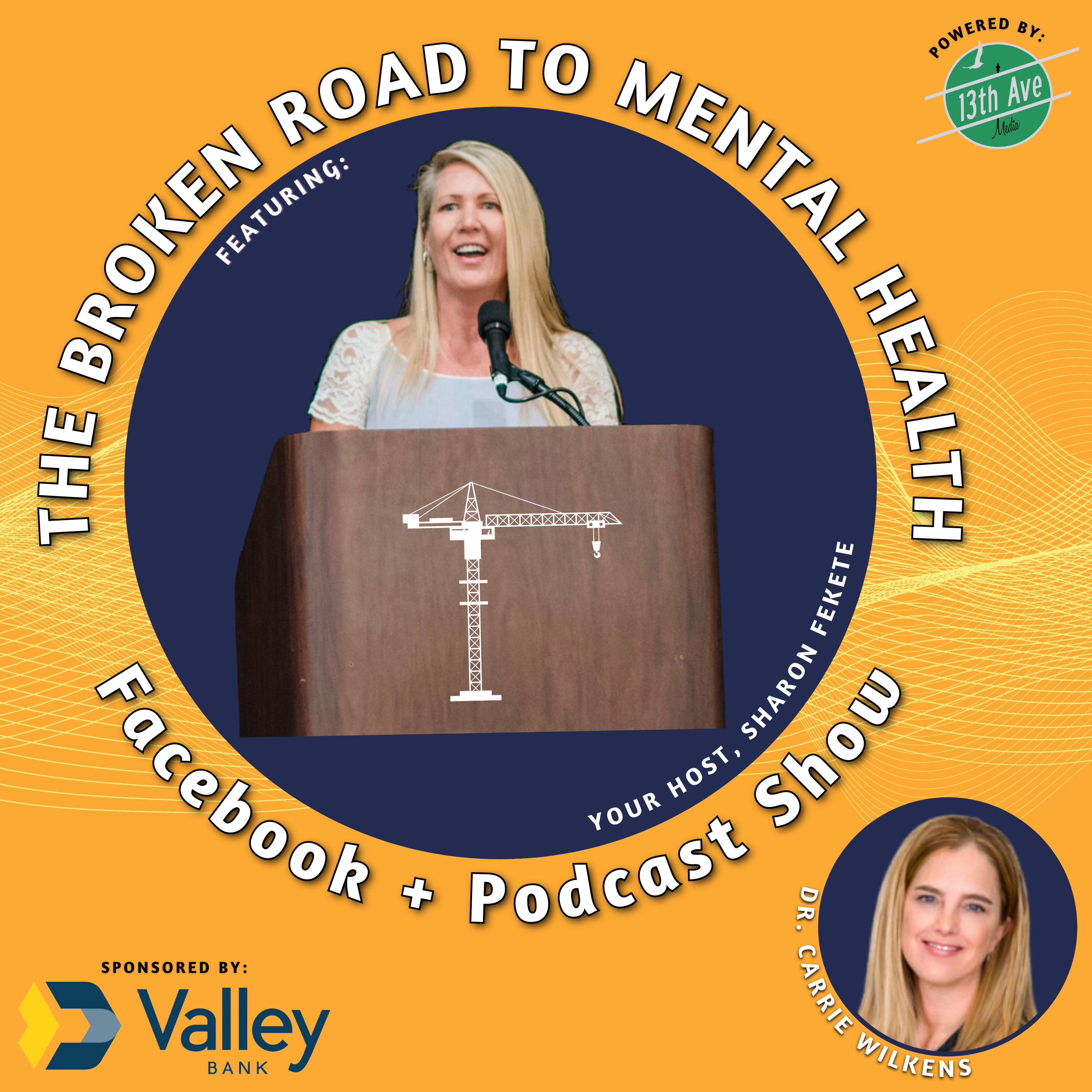 The Broken Road to Mental Health