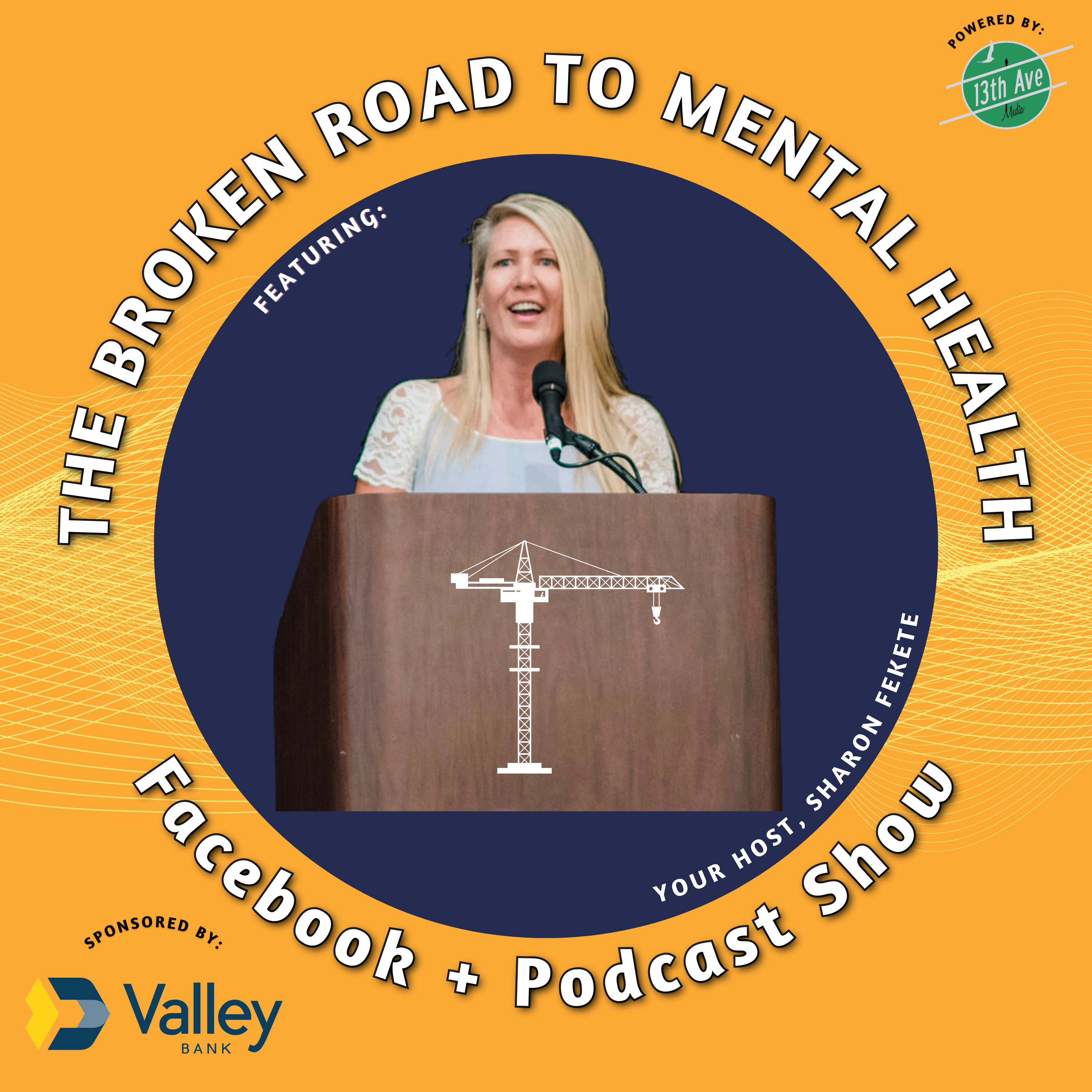 The Broken Road to Mental Health