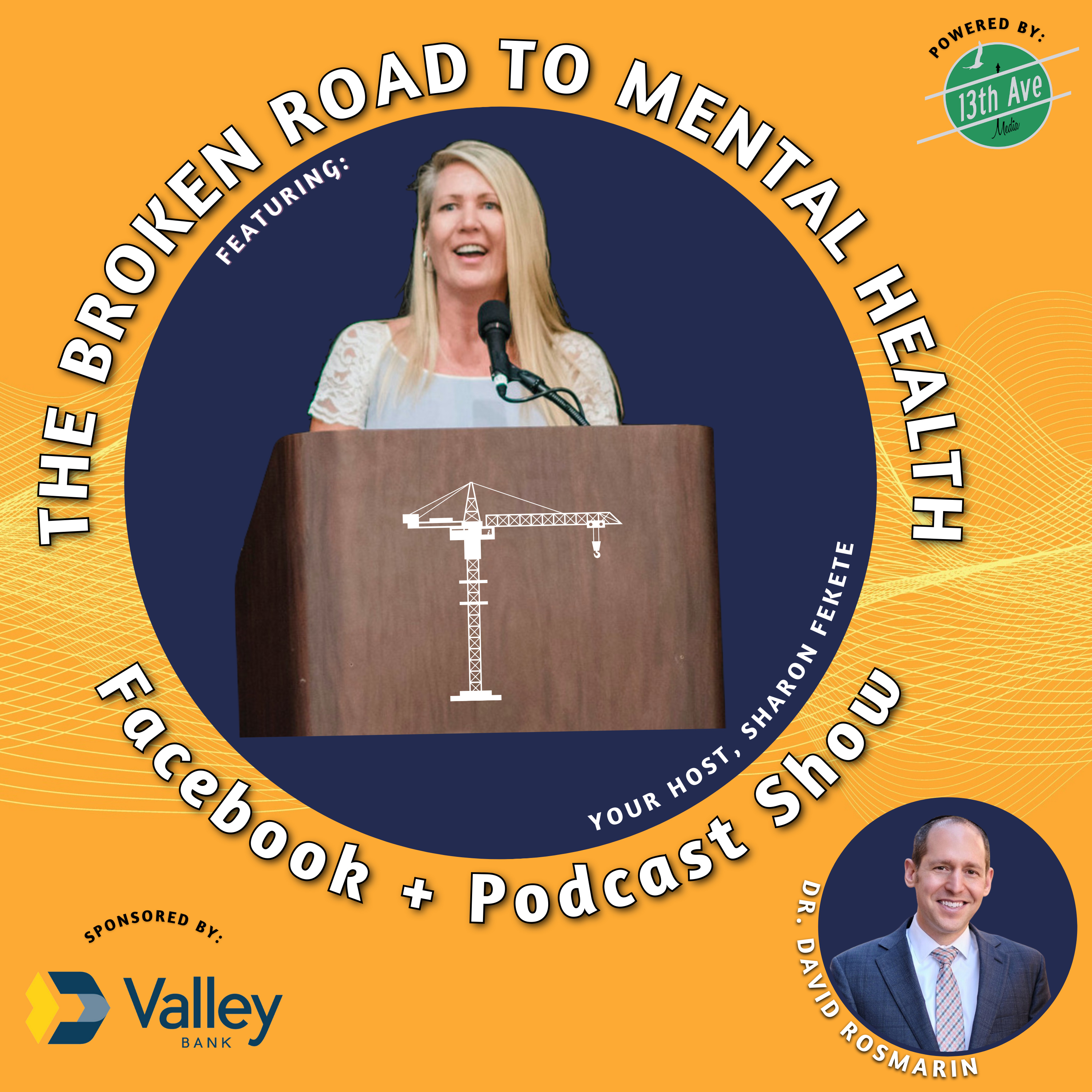 The Broken Road to Mental Health