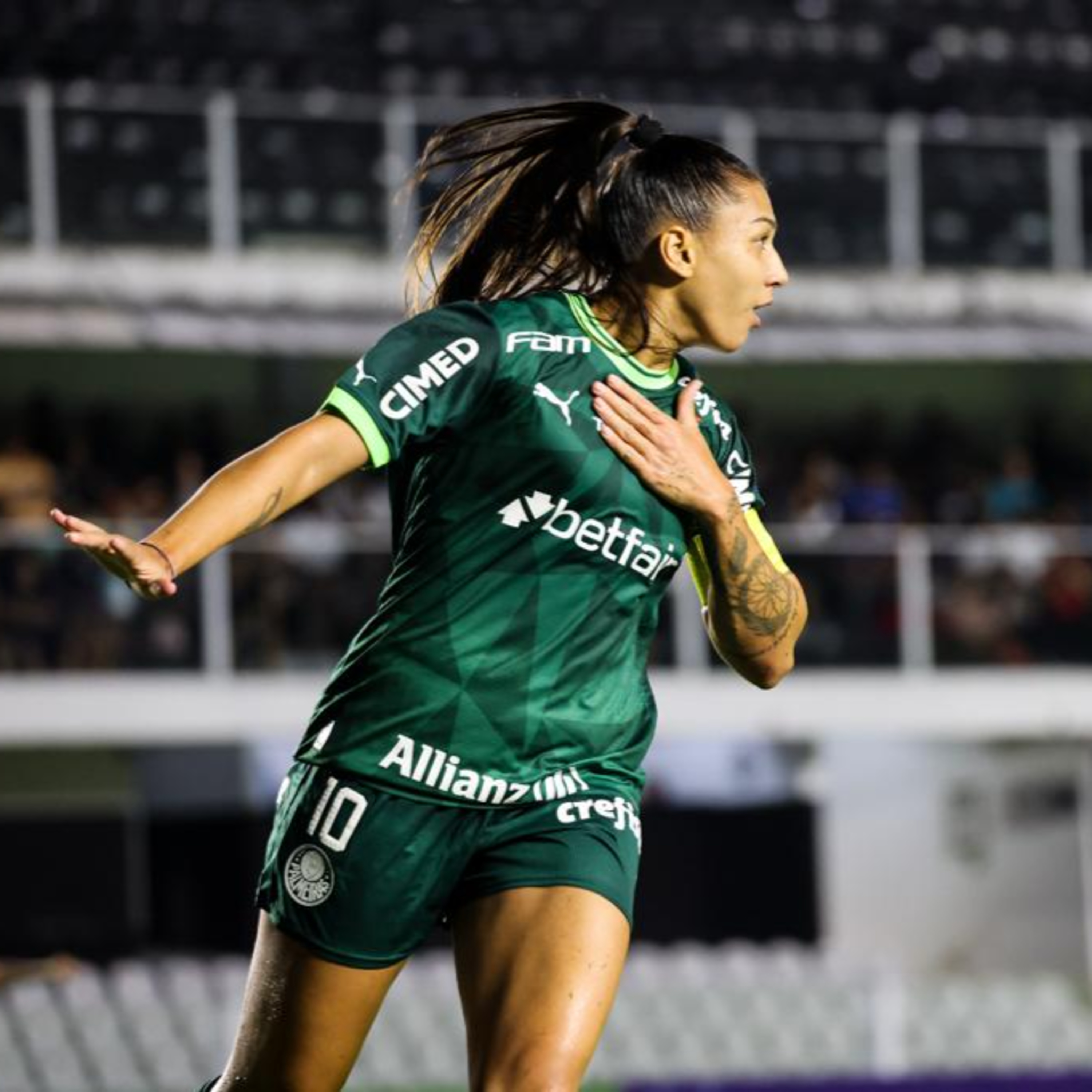 Análise Verdão