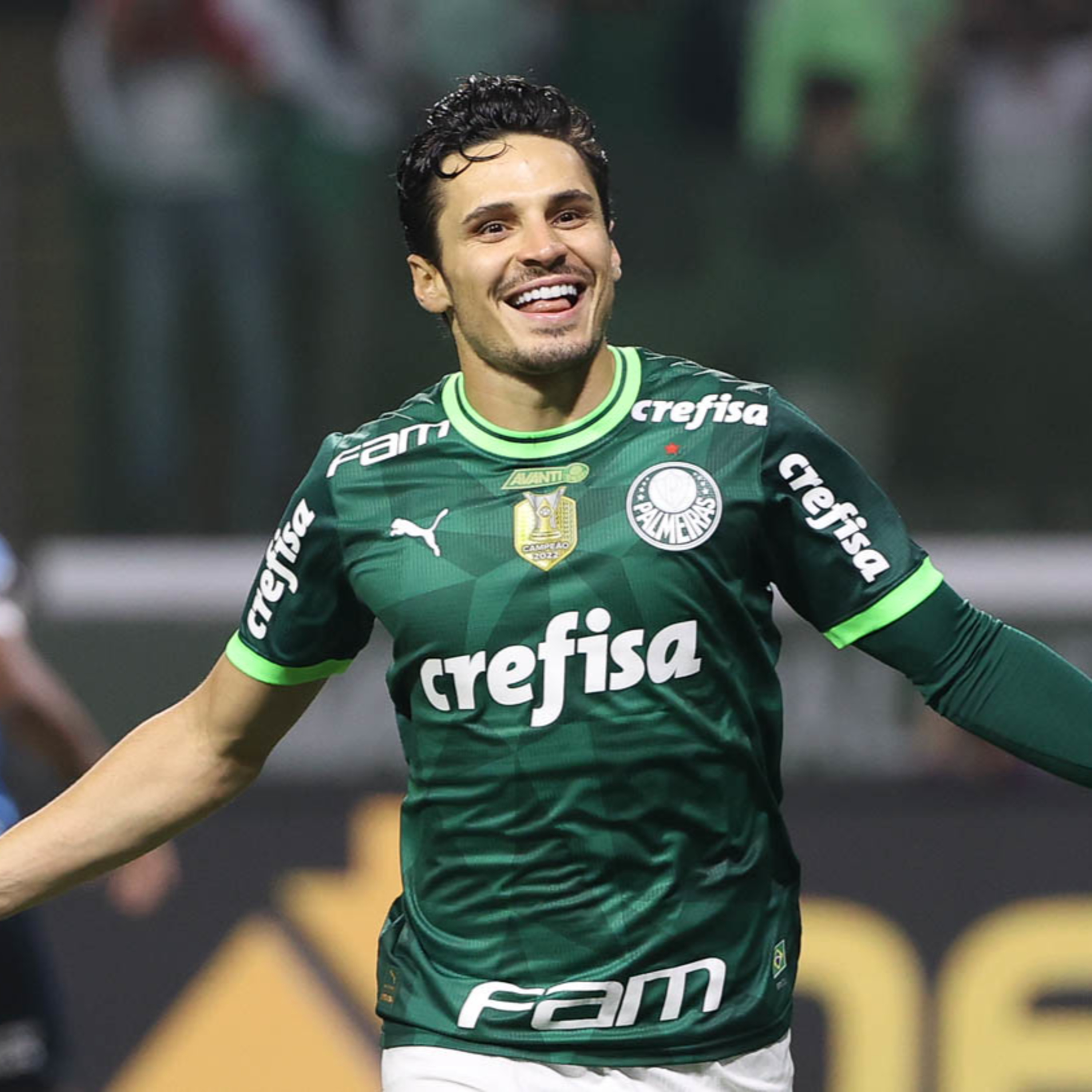 Análise Verdão