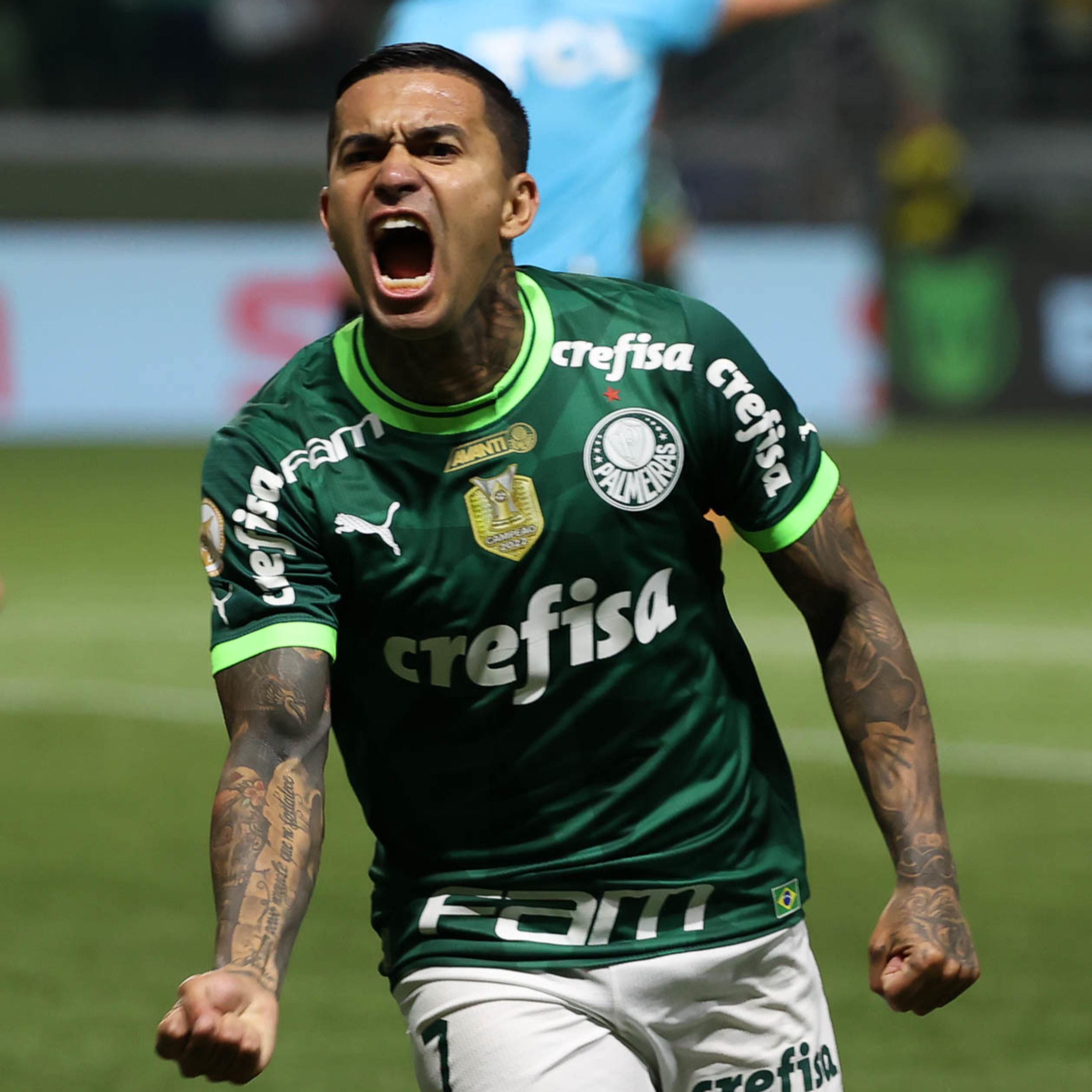 Análise Verdão