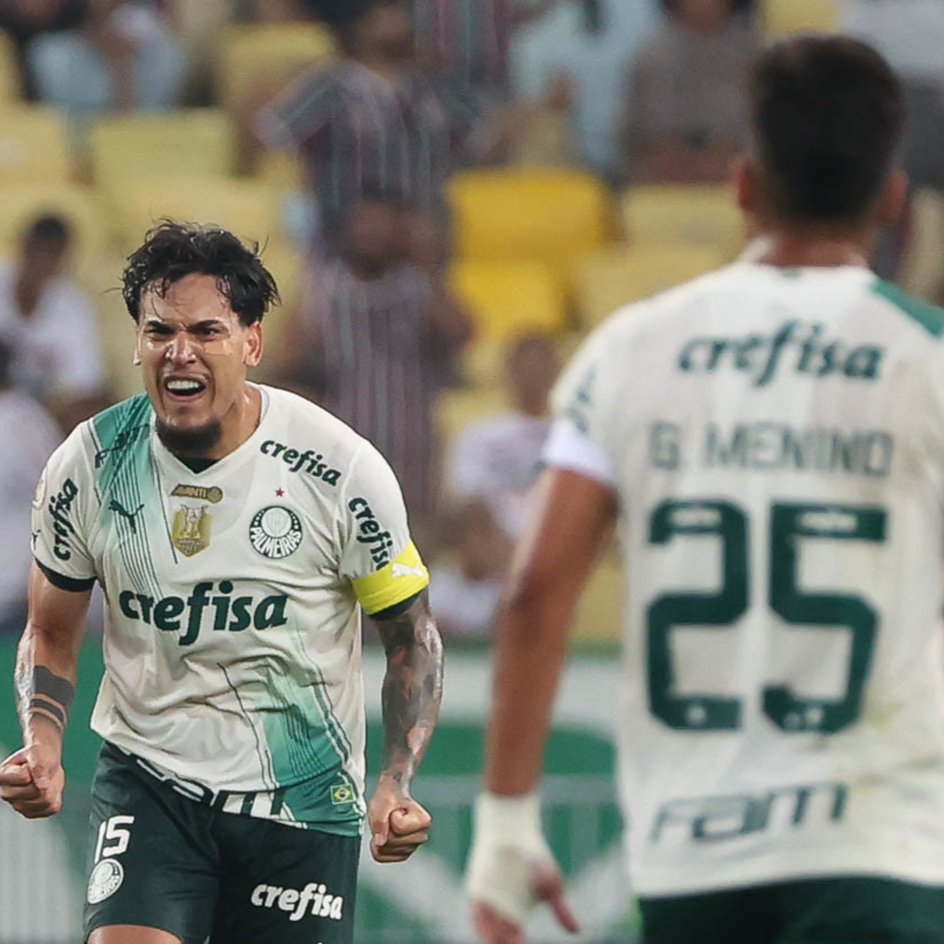Análise Verdão