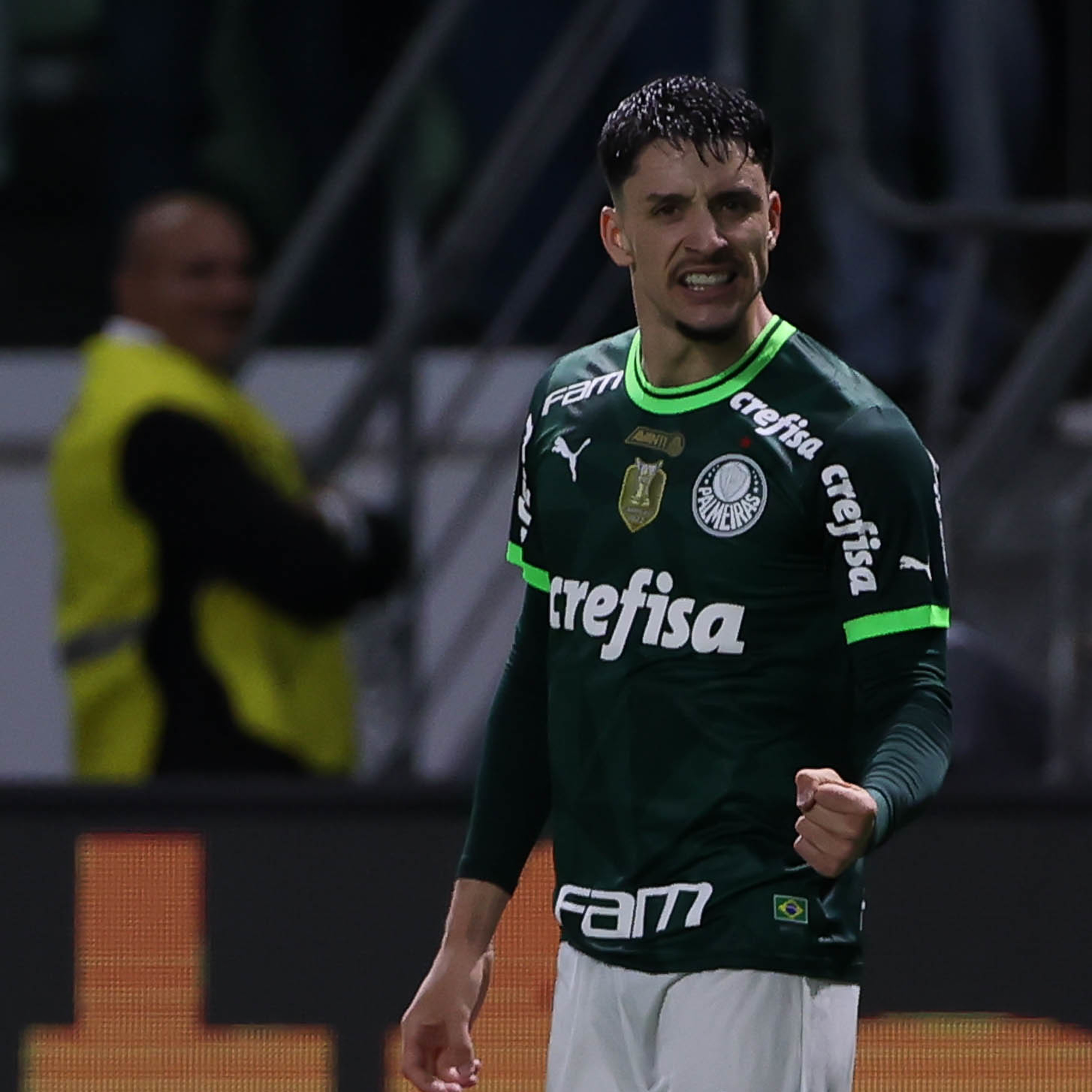 Análise Verdão