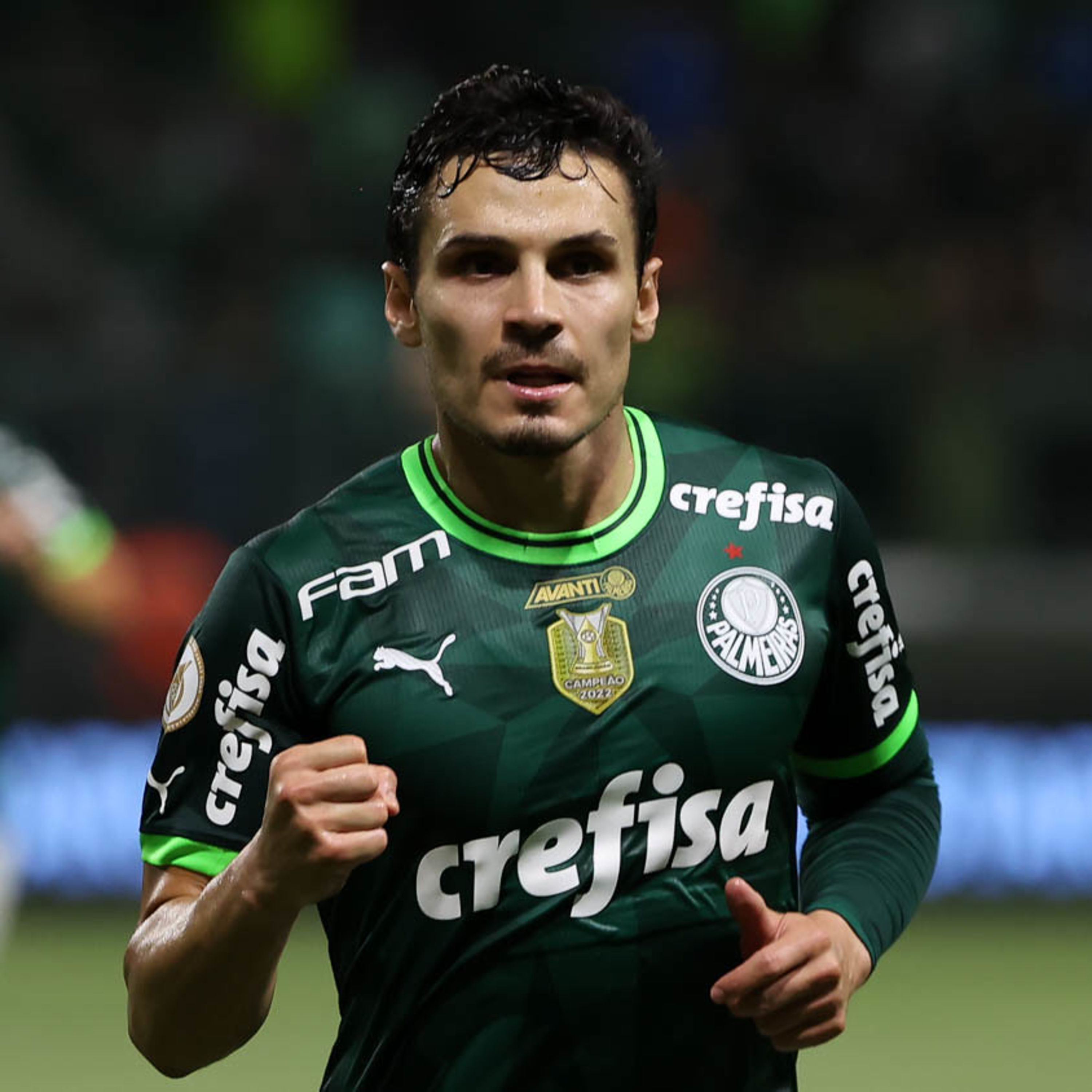 Análise Verdão