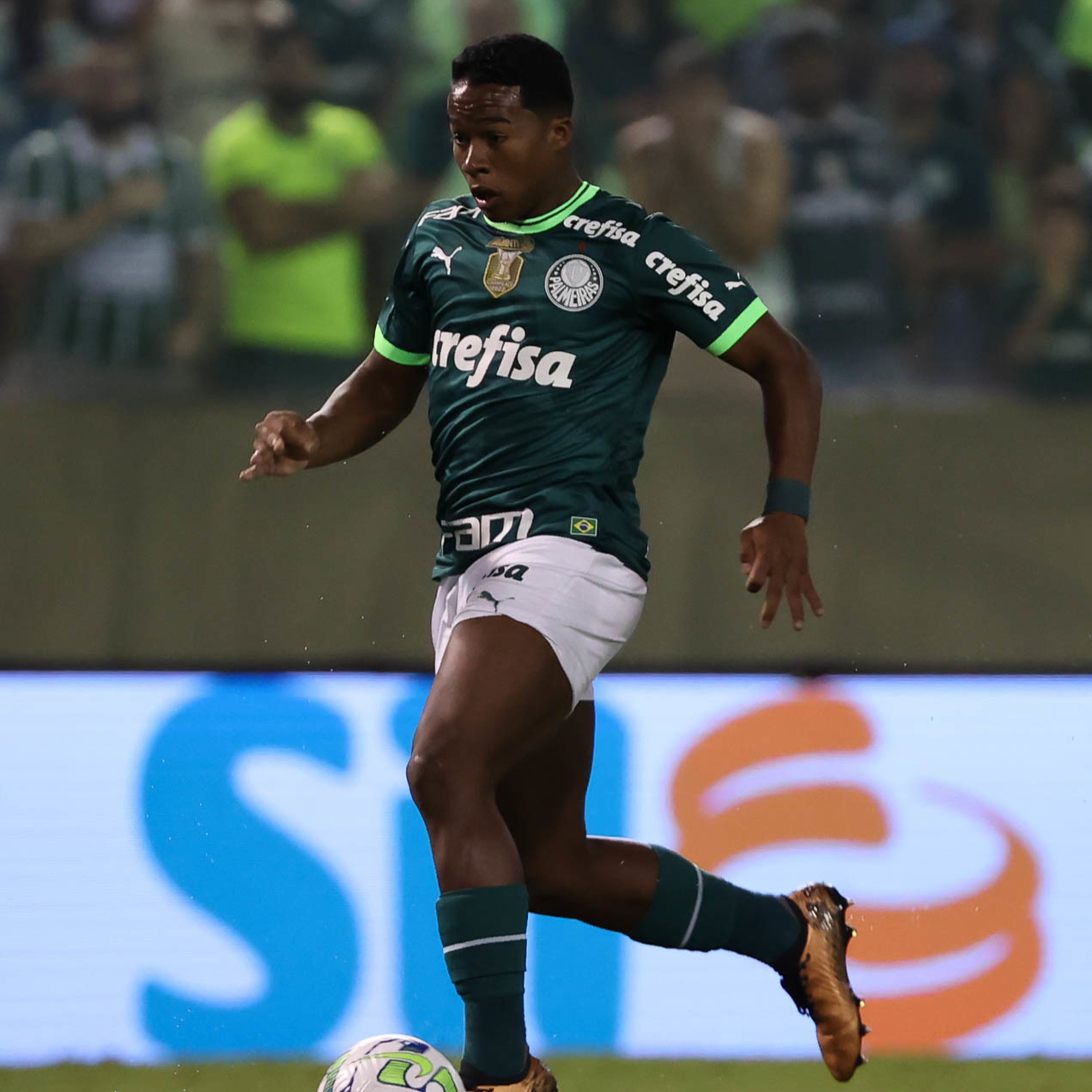 Análise Verdão