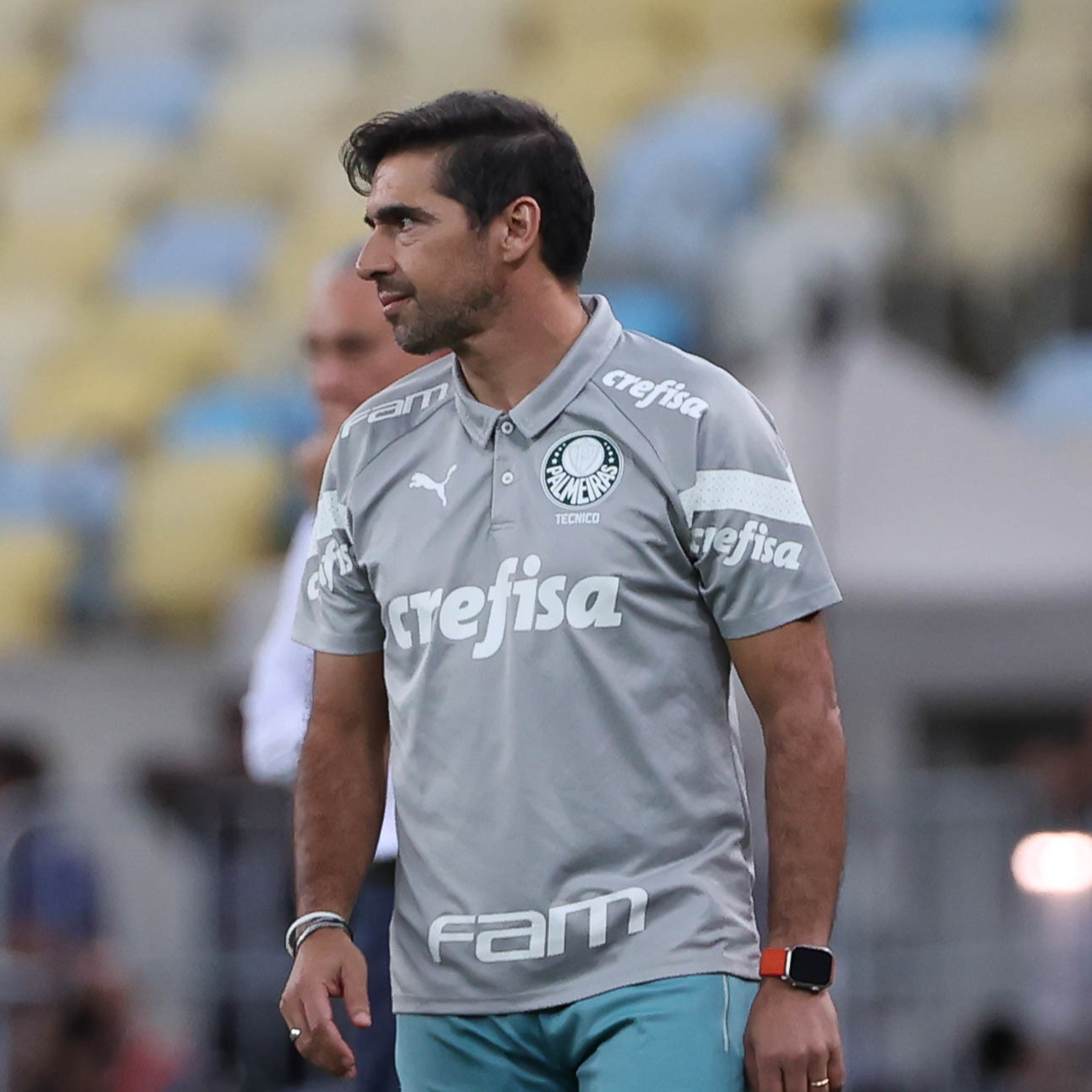 Análise Verdão