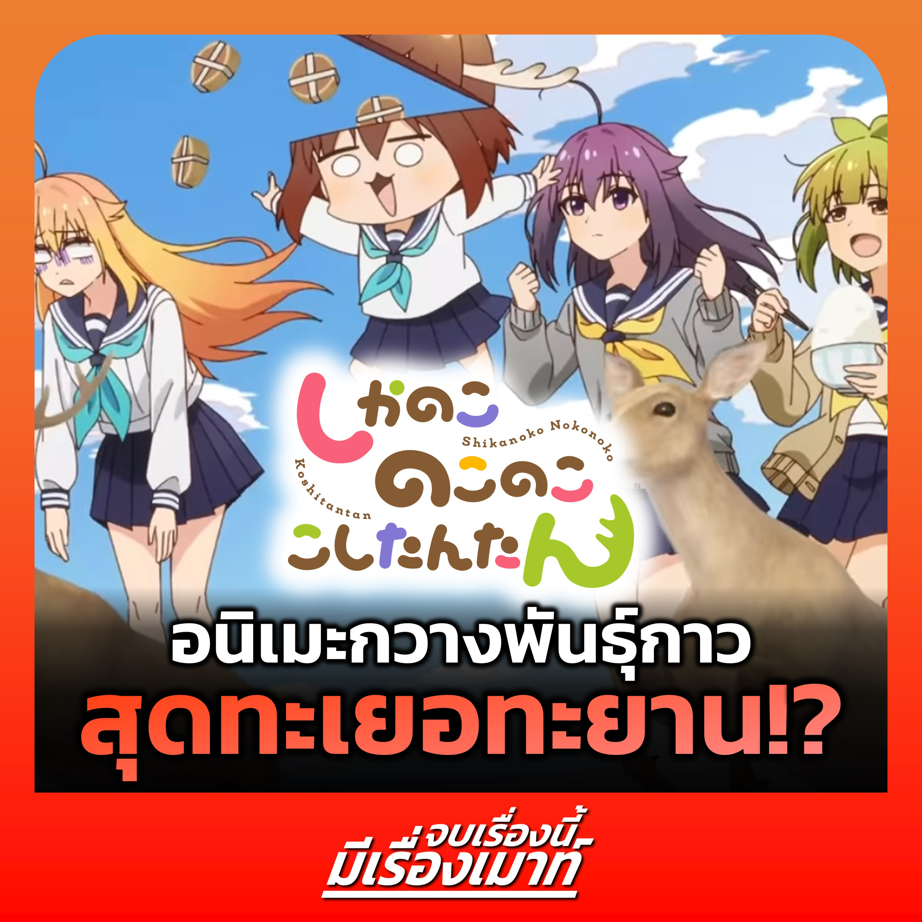 จบเรื่องนี้ มีเรื่องเมาท์ 04 | "โนโกะตัน เพื่อนฉันพันธุ์กวาง" อนิเมะกวางพันธุ์กาวสุดทะเยอทะยาน!?