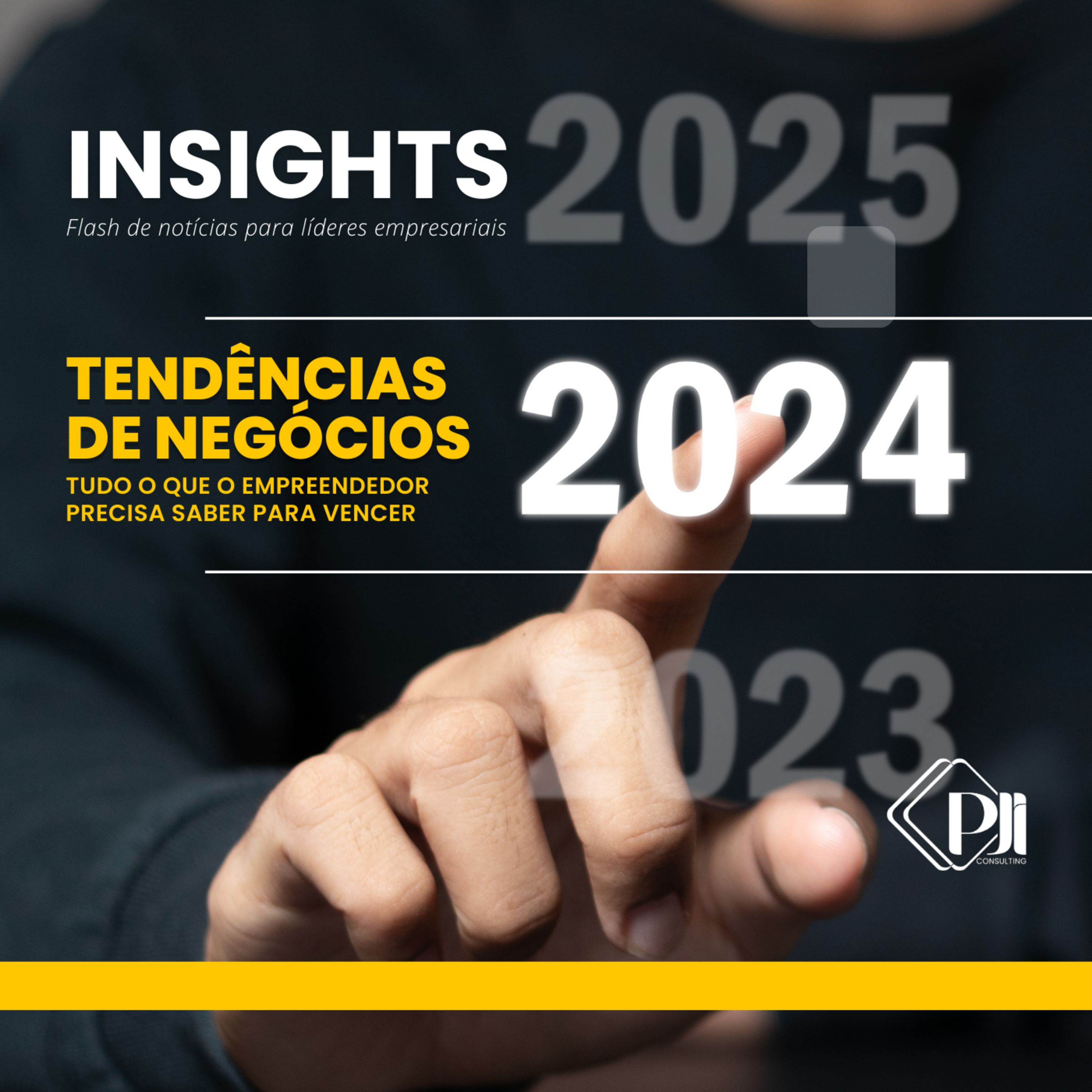 Paulo Júnior - PJI Consulting