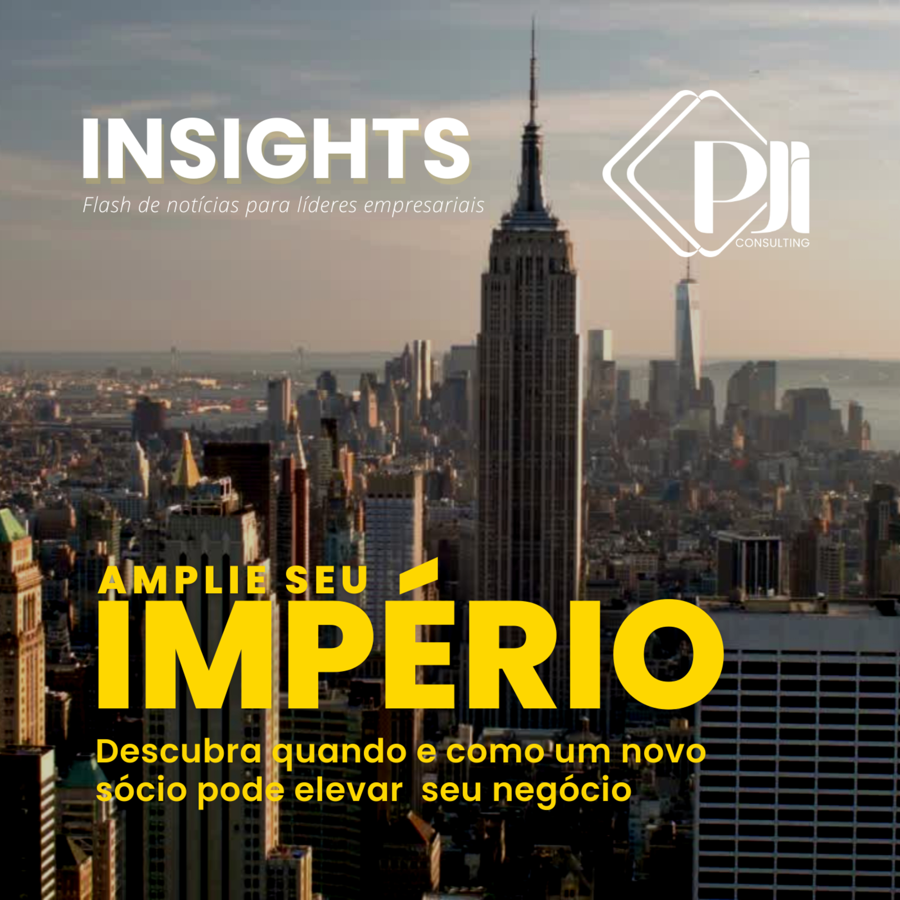 Paulo Júnior - PJI Consulting