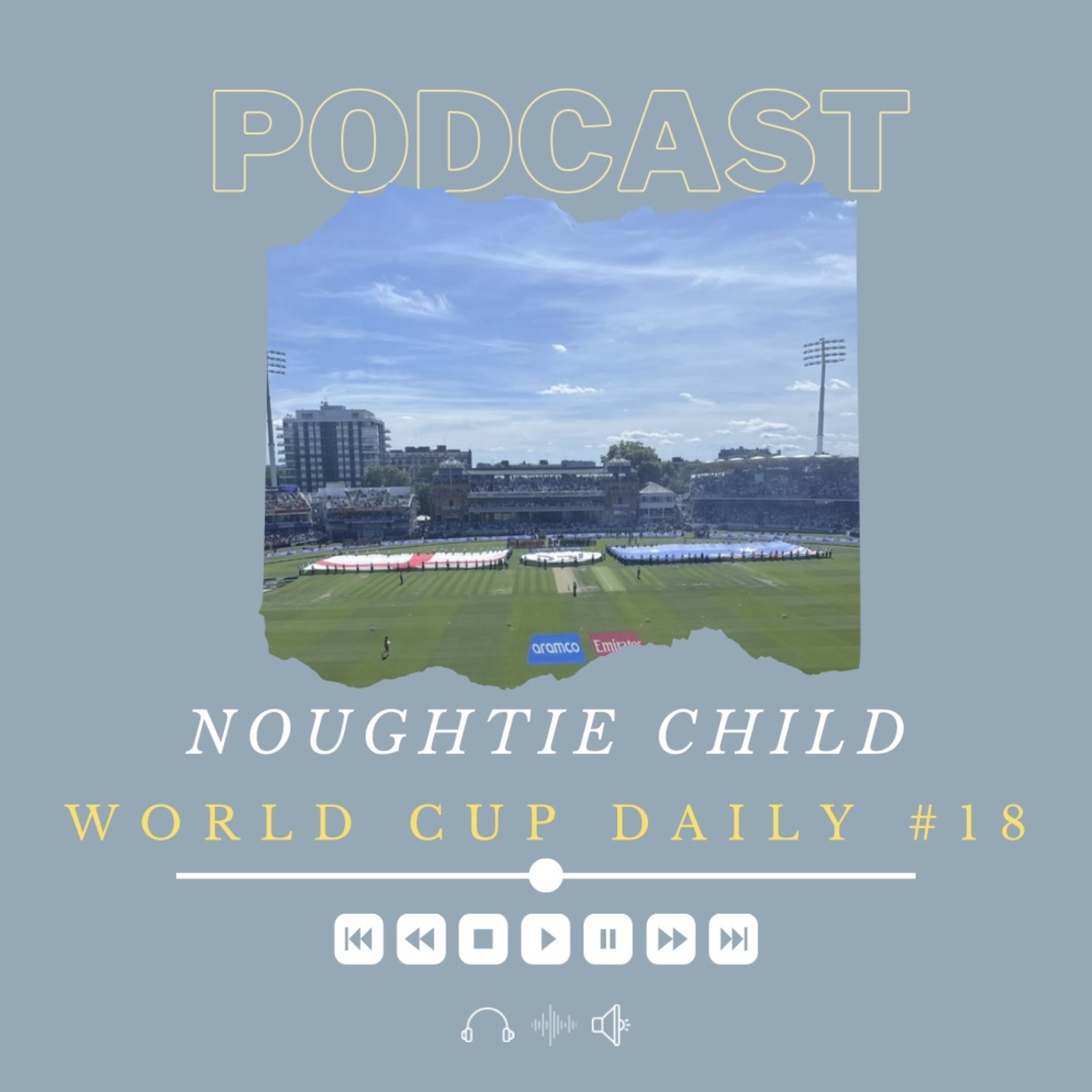 T20 World Cup Daily #18 - Australia are Champions episode artwork