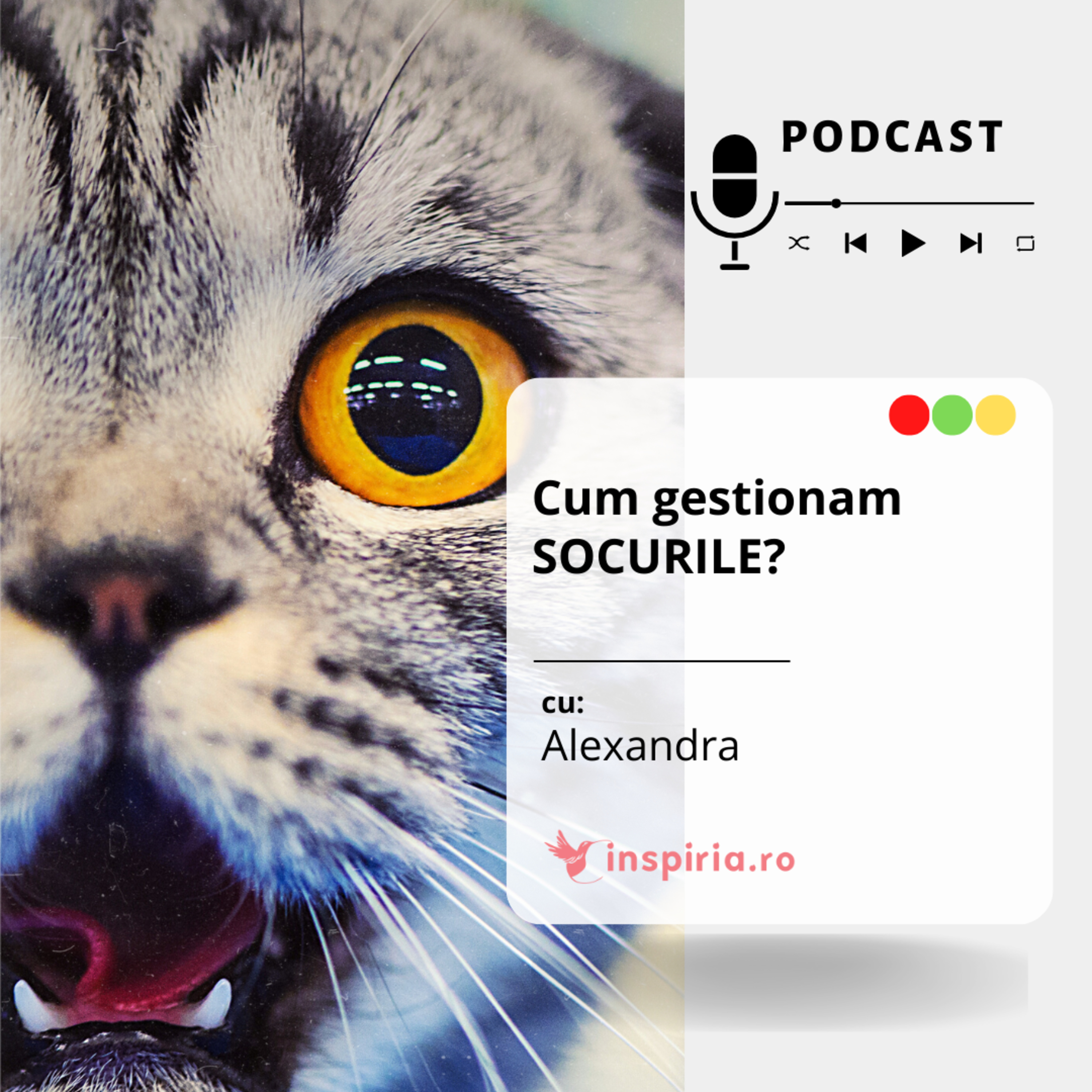 Episodul 55: Cum gestionam SOCURILE? episode artwork