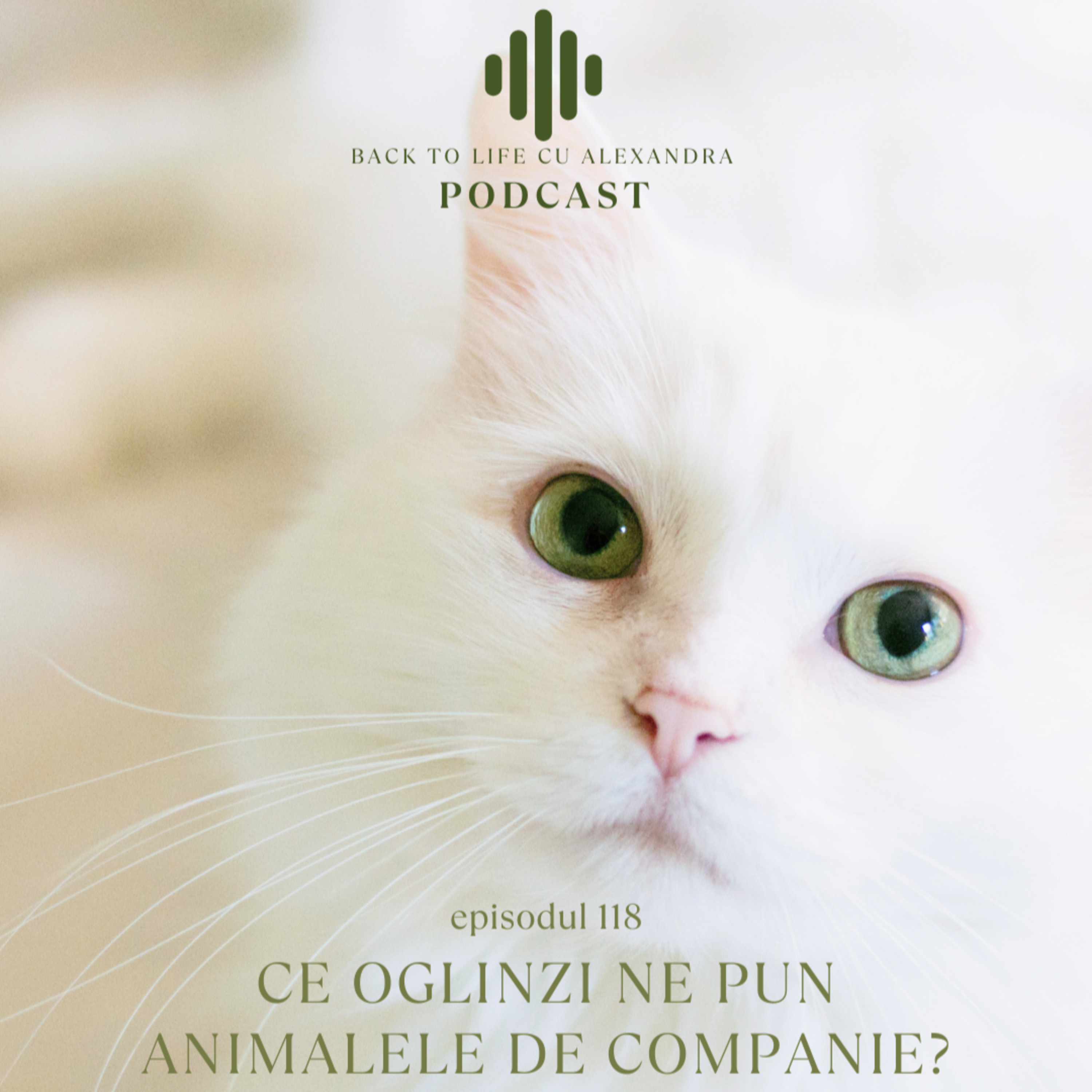 Episodul 118: Ce oglinzi ne pun animalele de companie? episode artwork
