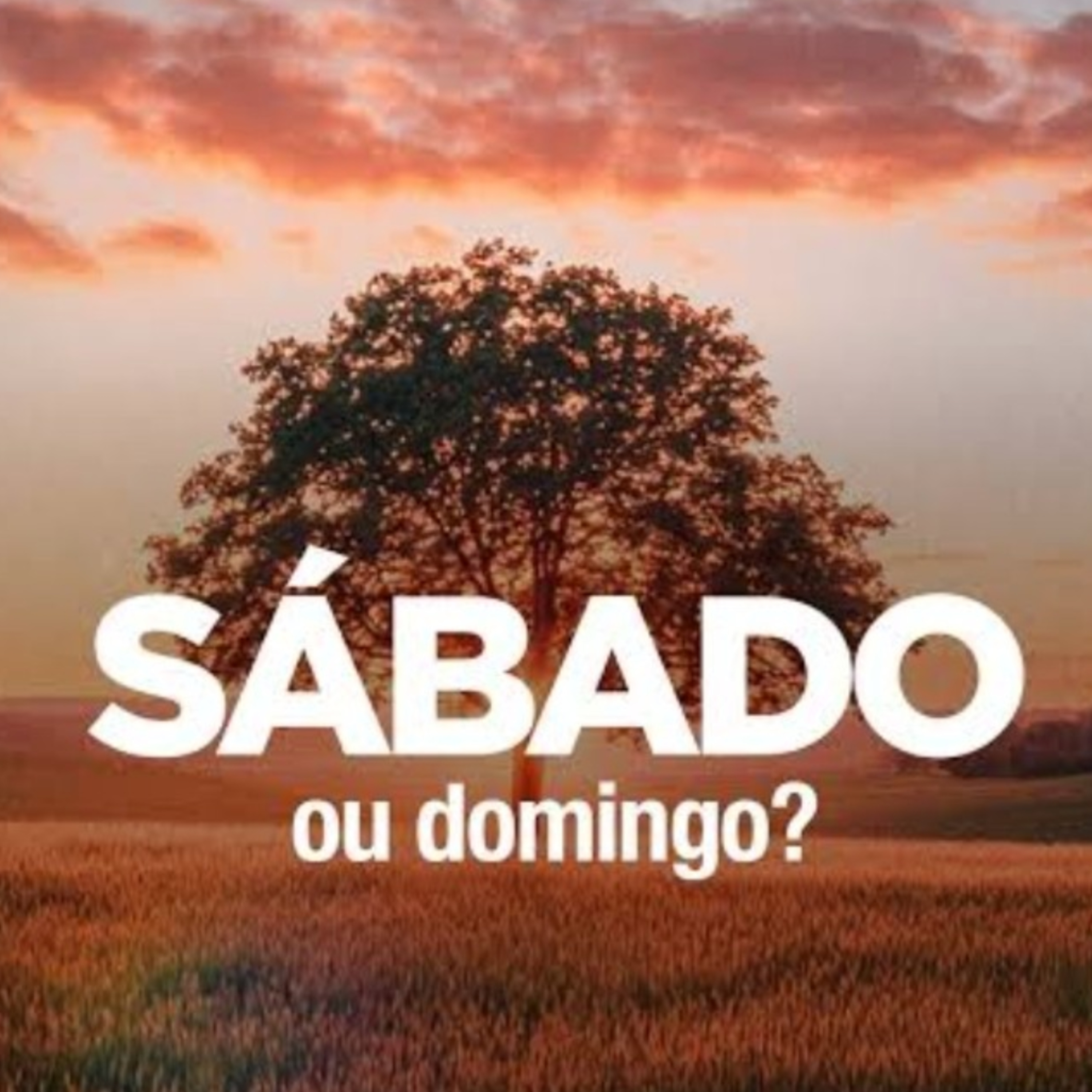 SÁBADO | MANOLO DAMASIO episode artwork