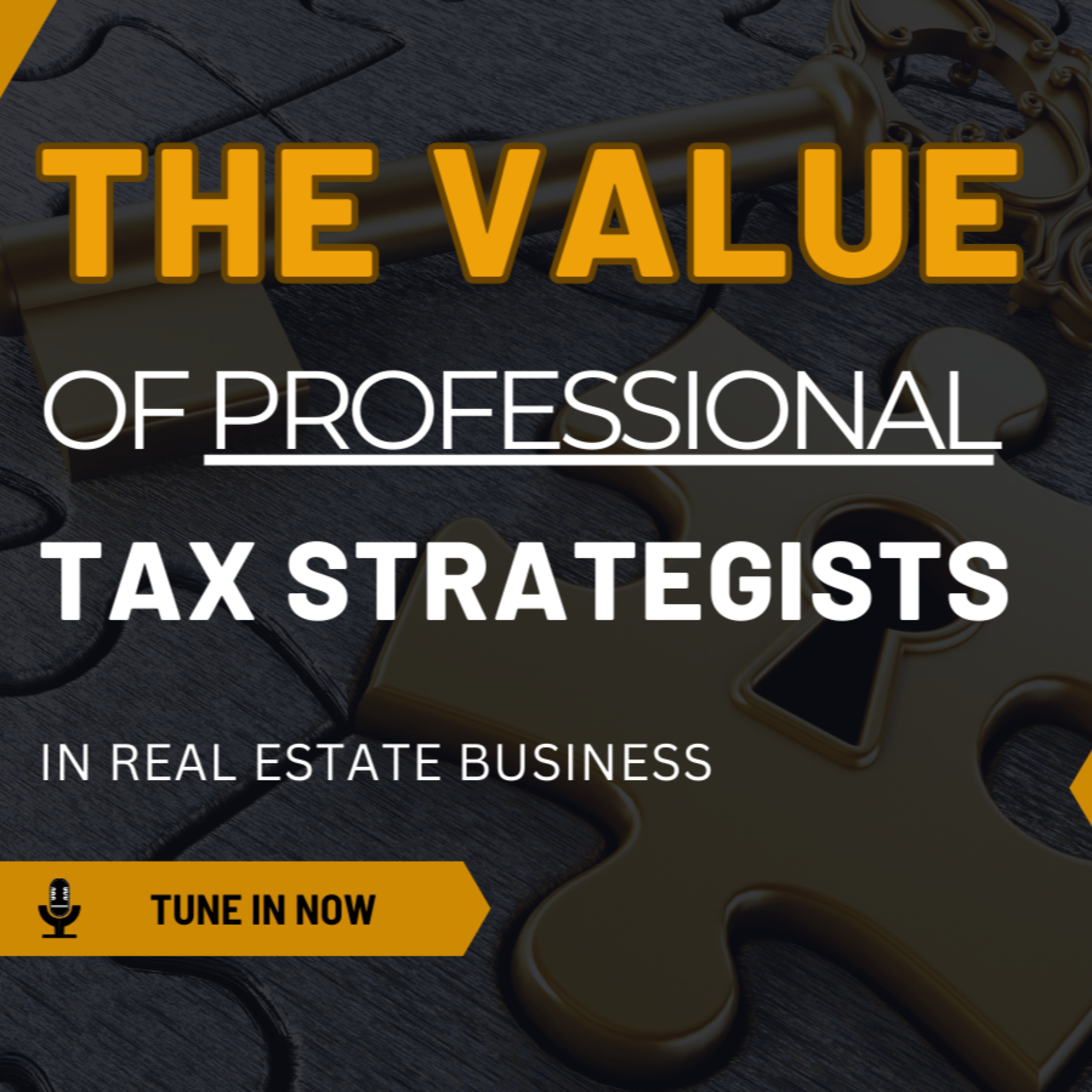 Avoiding Costly Mistakes: Why Professional Advice is Essential in Real Estate Business episode artwork