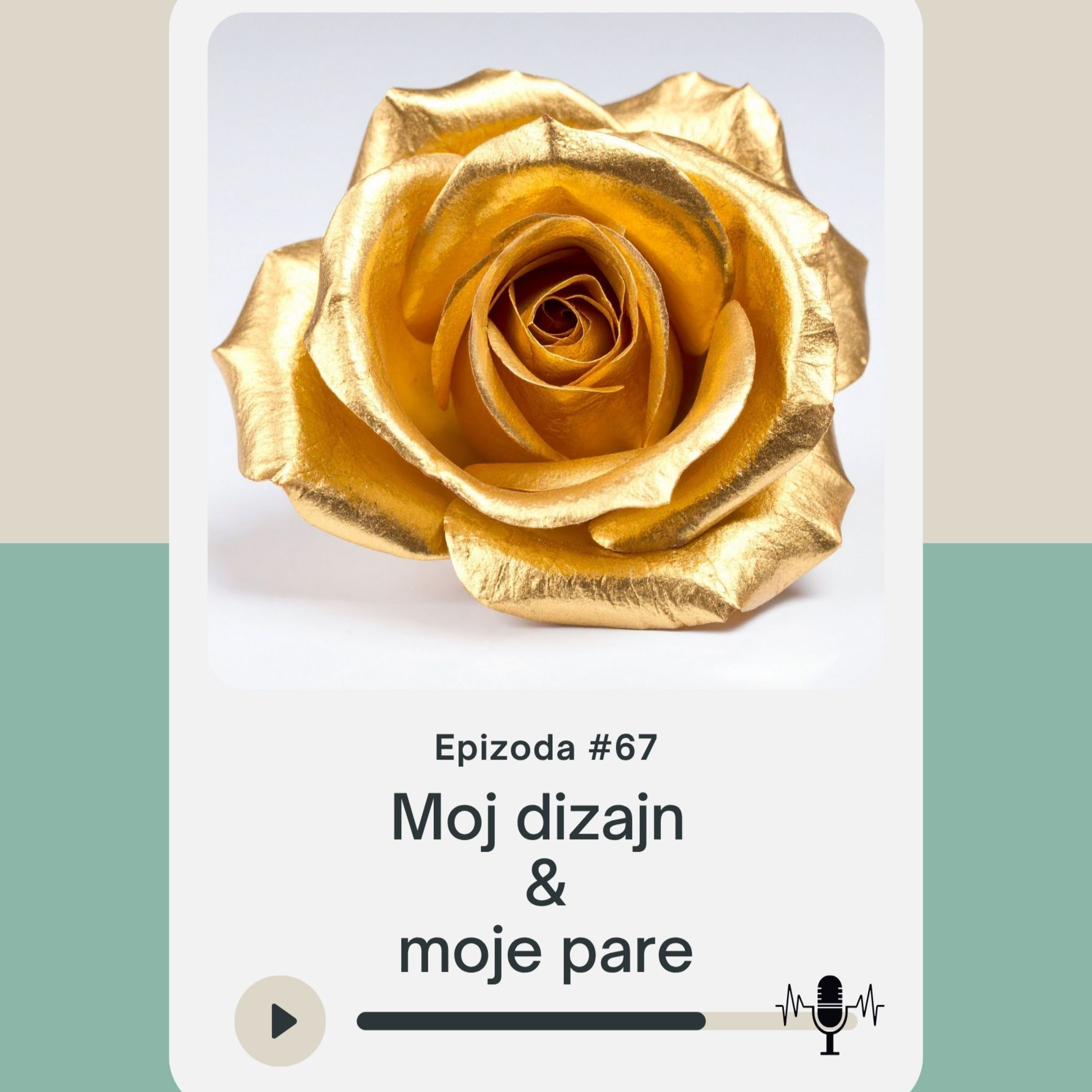 67. Moj dizajn i moje pare