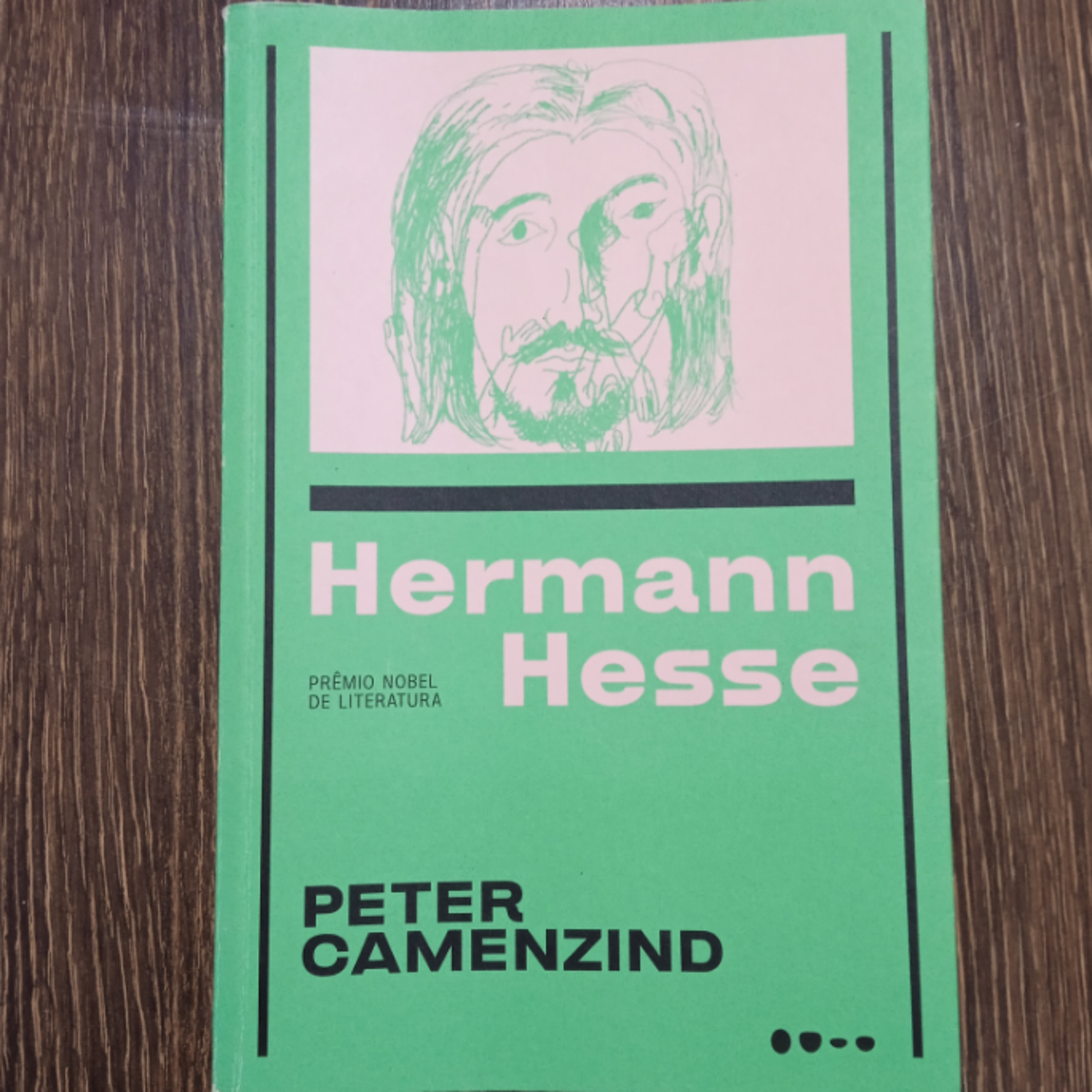 Hermann Hesse - Peter Camenzind - Cap. 4 episode artwork