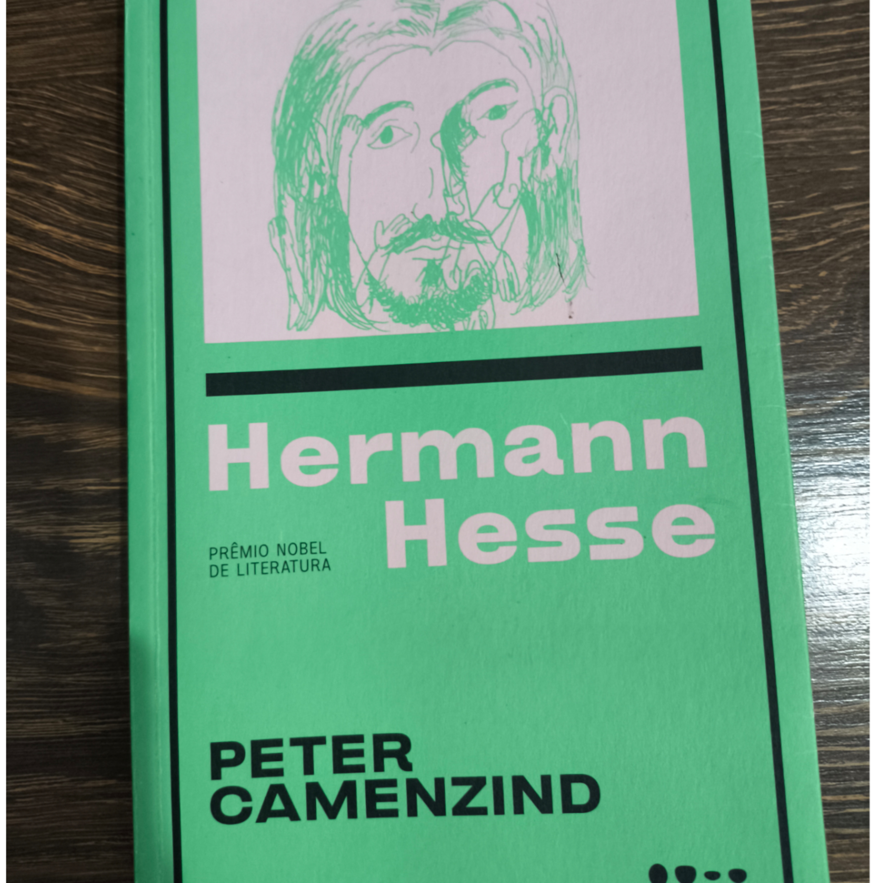 Hermann Hesse - Peter Camenzind - Cap. 8 (Final) episode artwork