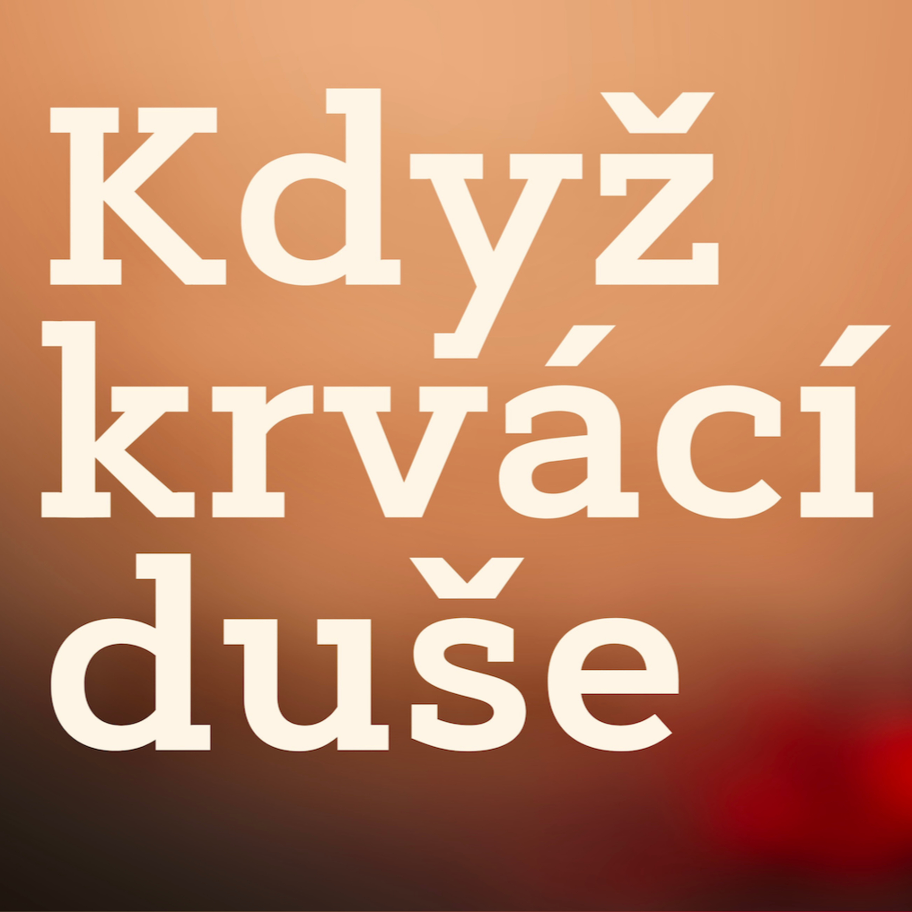 BRATRŮM A SESTRÁM ZA ZDÍ