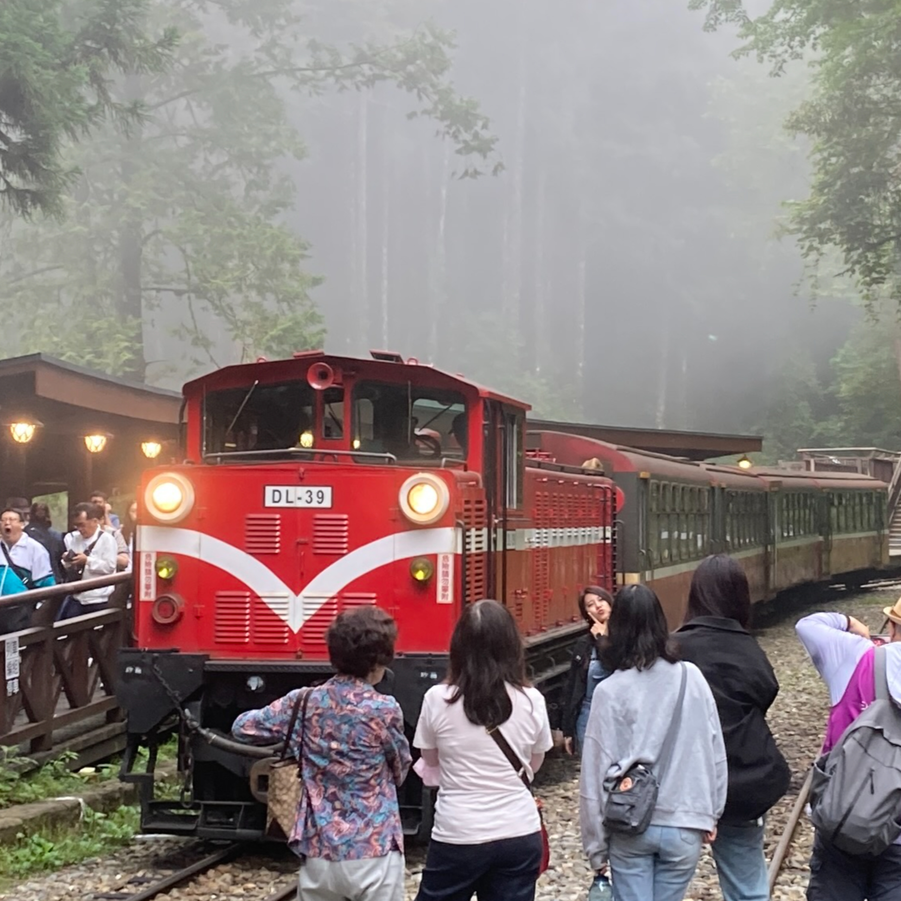 台湾乗りテツ旅のご報告２　嘉儀→阿里山→平沼→神木 episode artwork