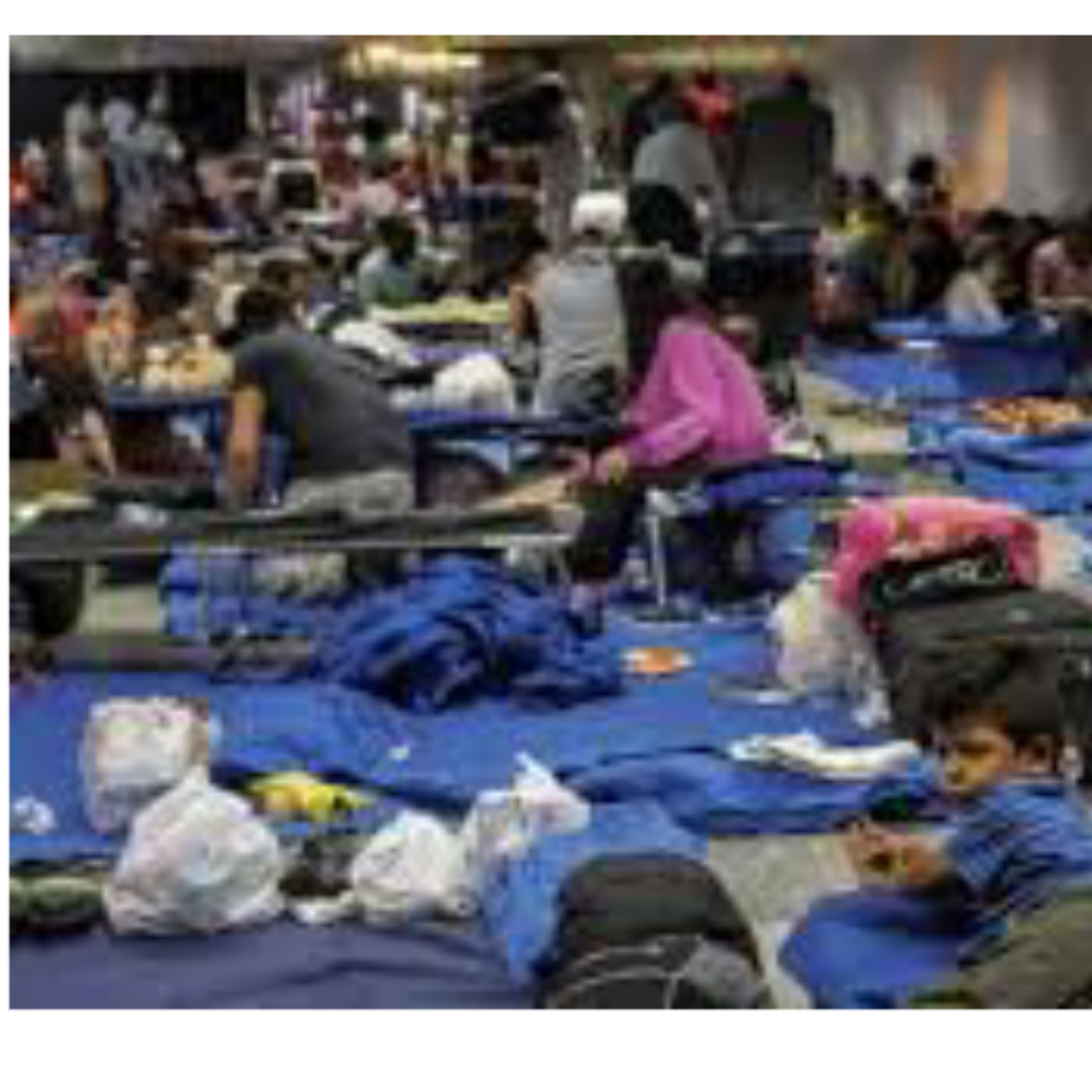 Migrant Mania Running Wild