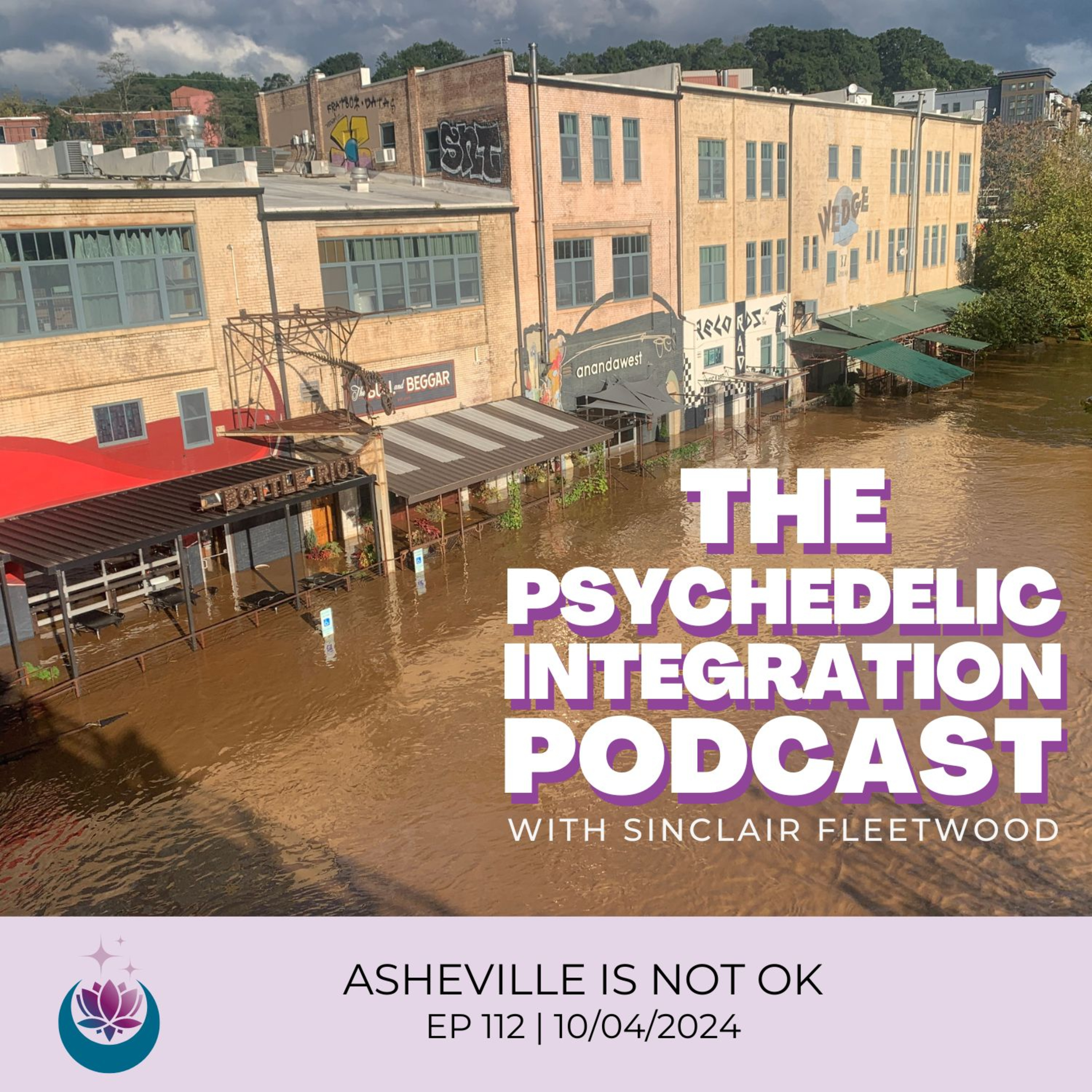 The Psychedelic Integration Podcast
