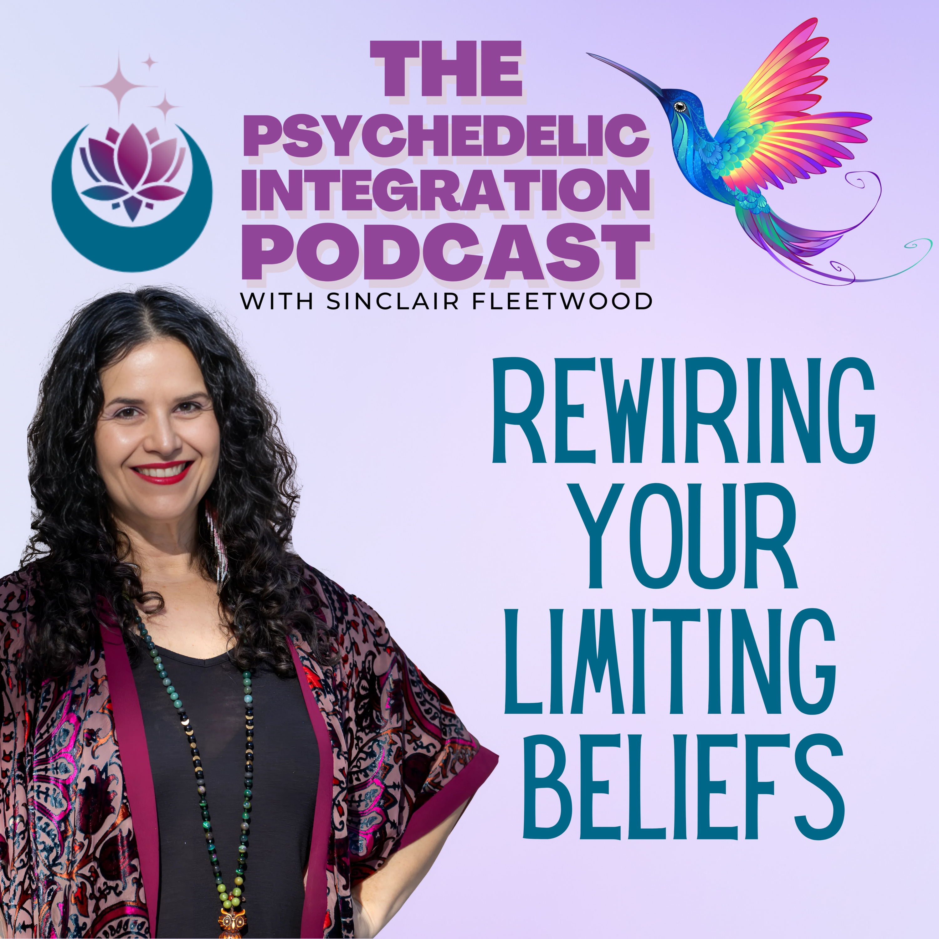 The Psychedelic Integration Podcast
