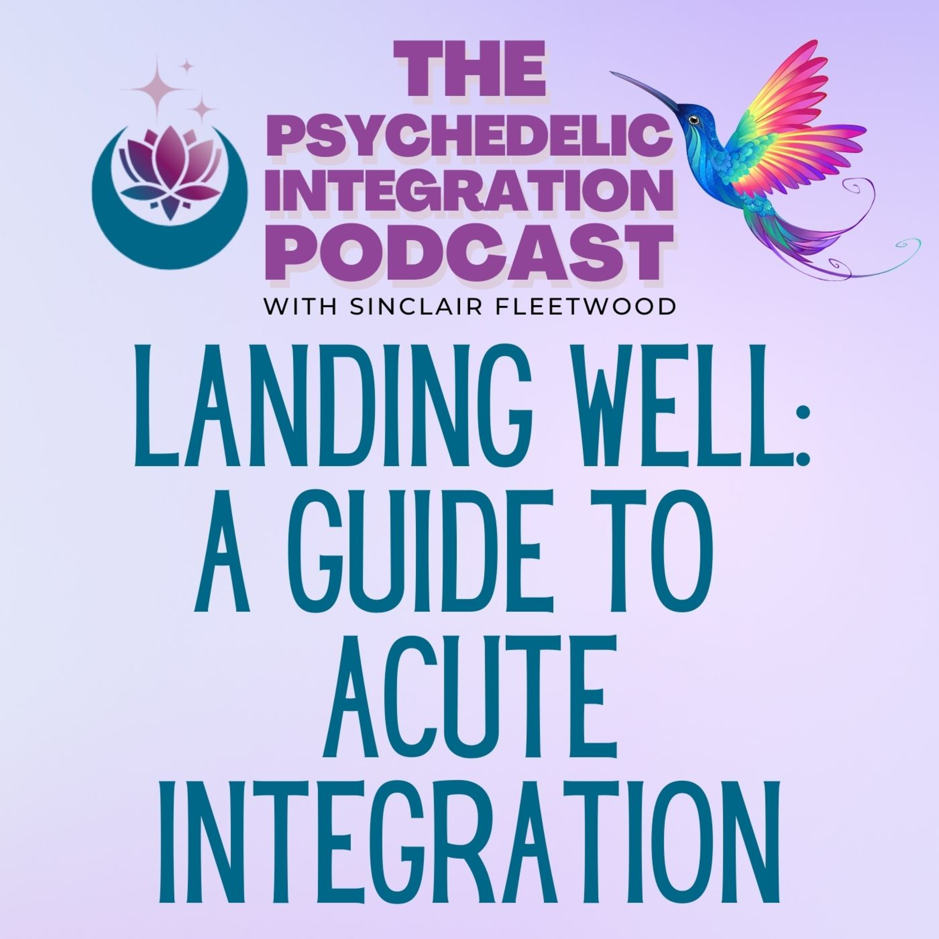 The Psychedelic Integration Podcast