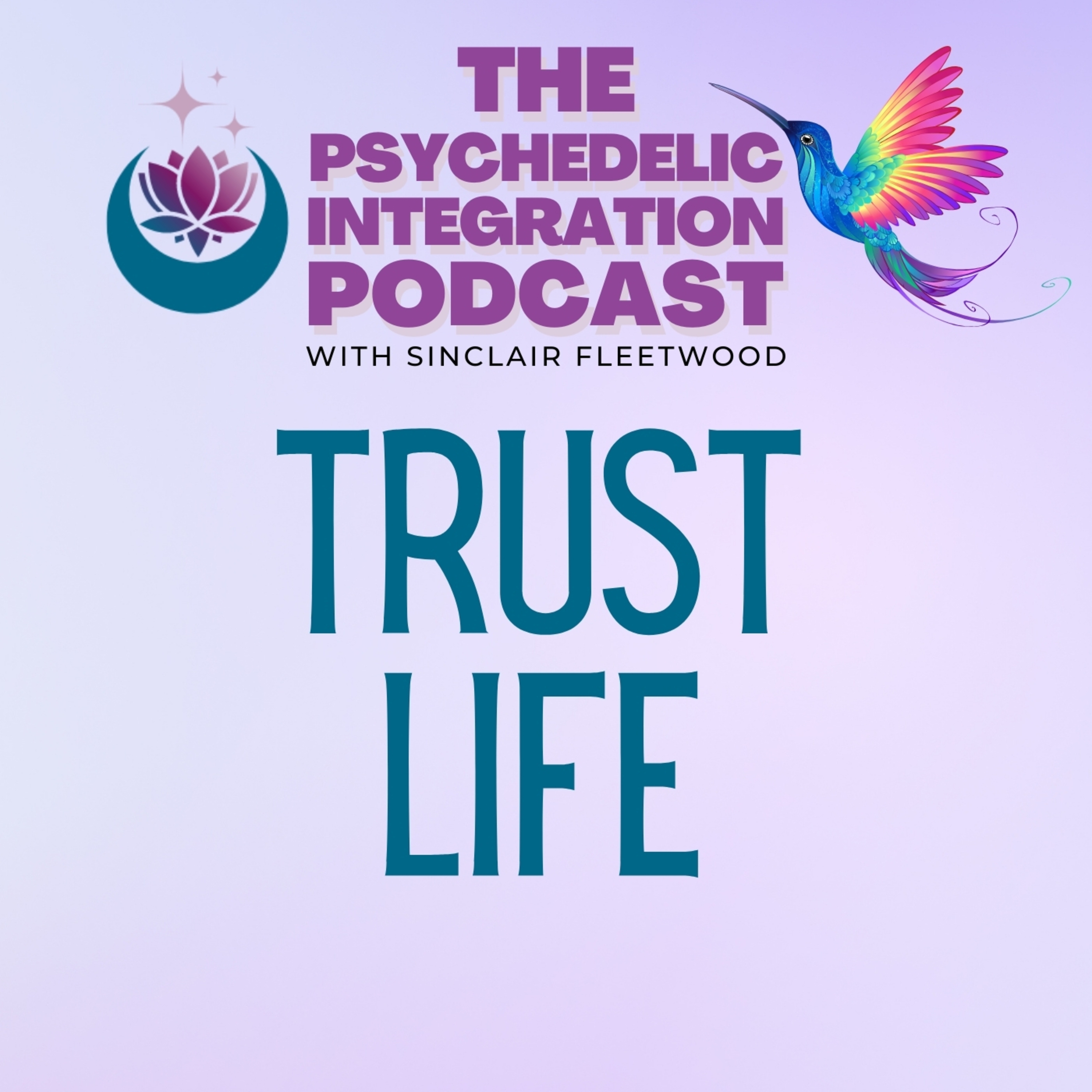 The Psychedelic Integration Podcast