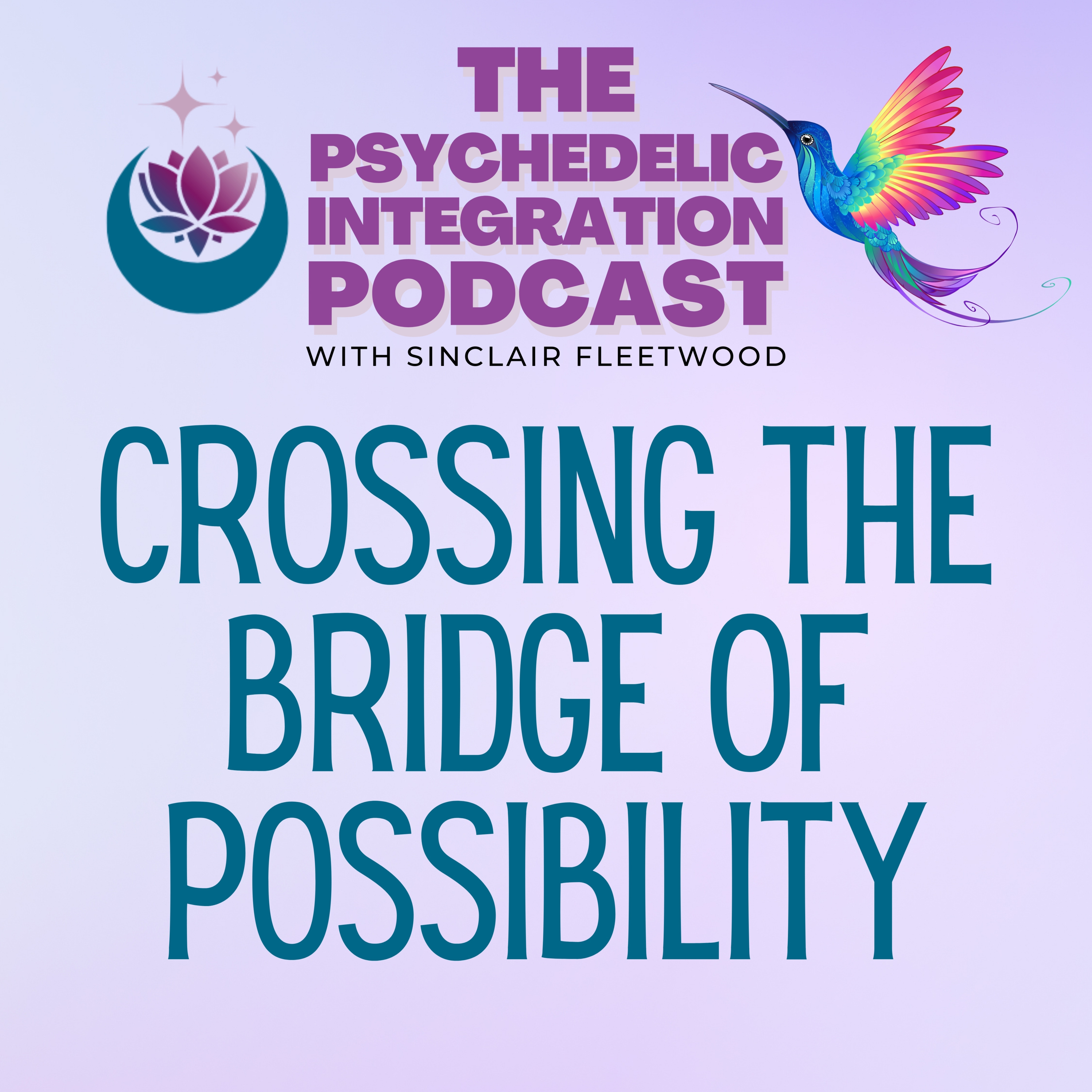 The Psychedelic Integration Podcast