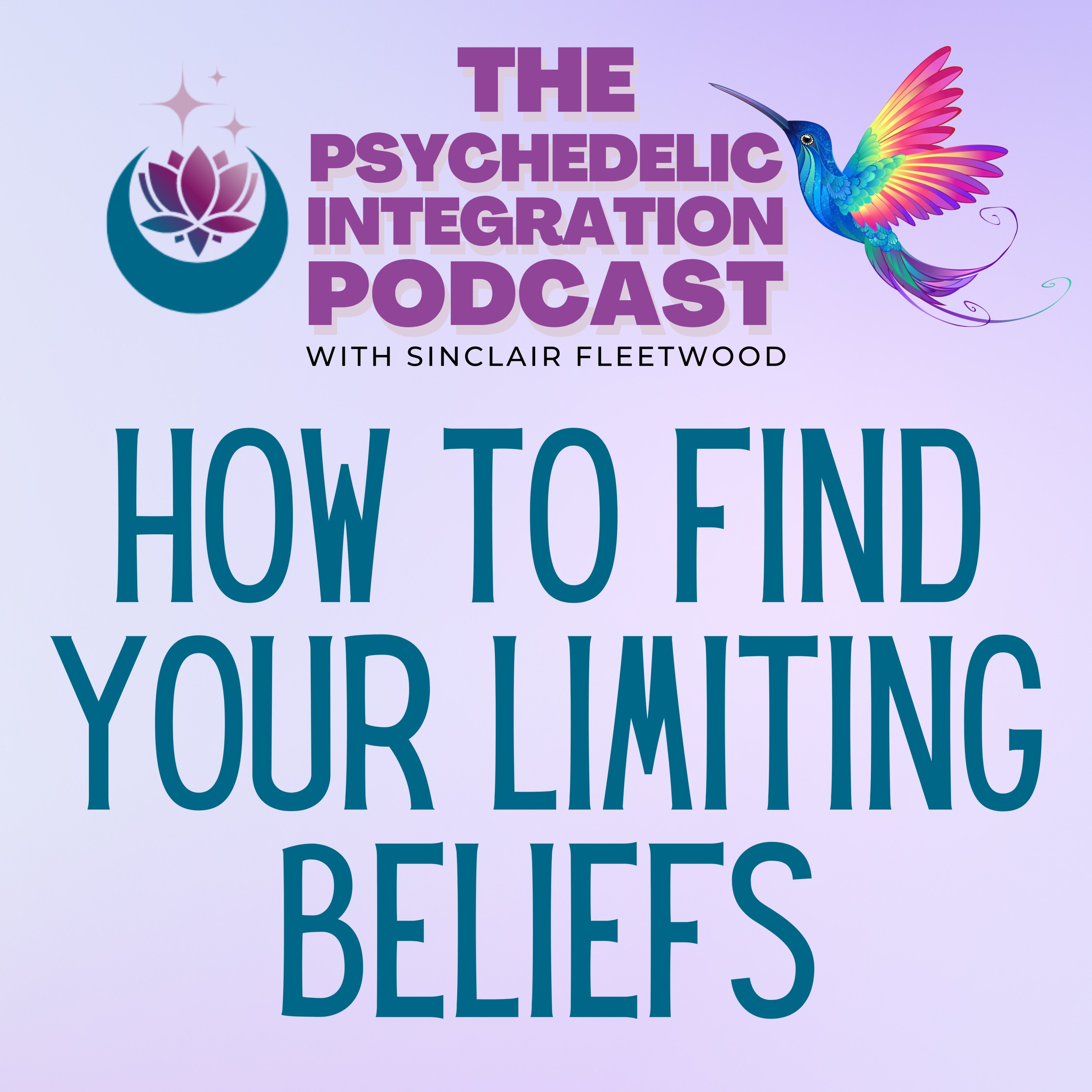 The Psychedelic Integration Podcast