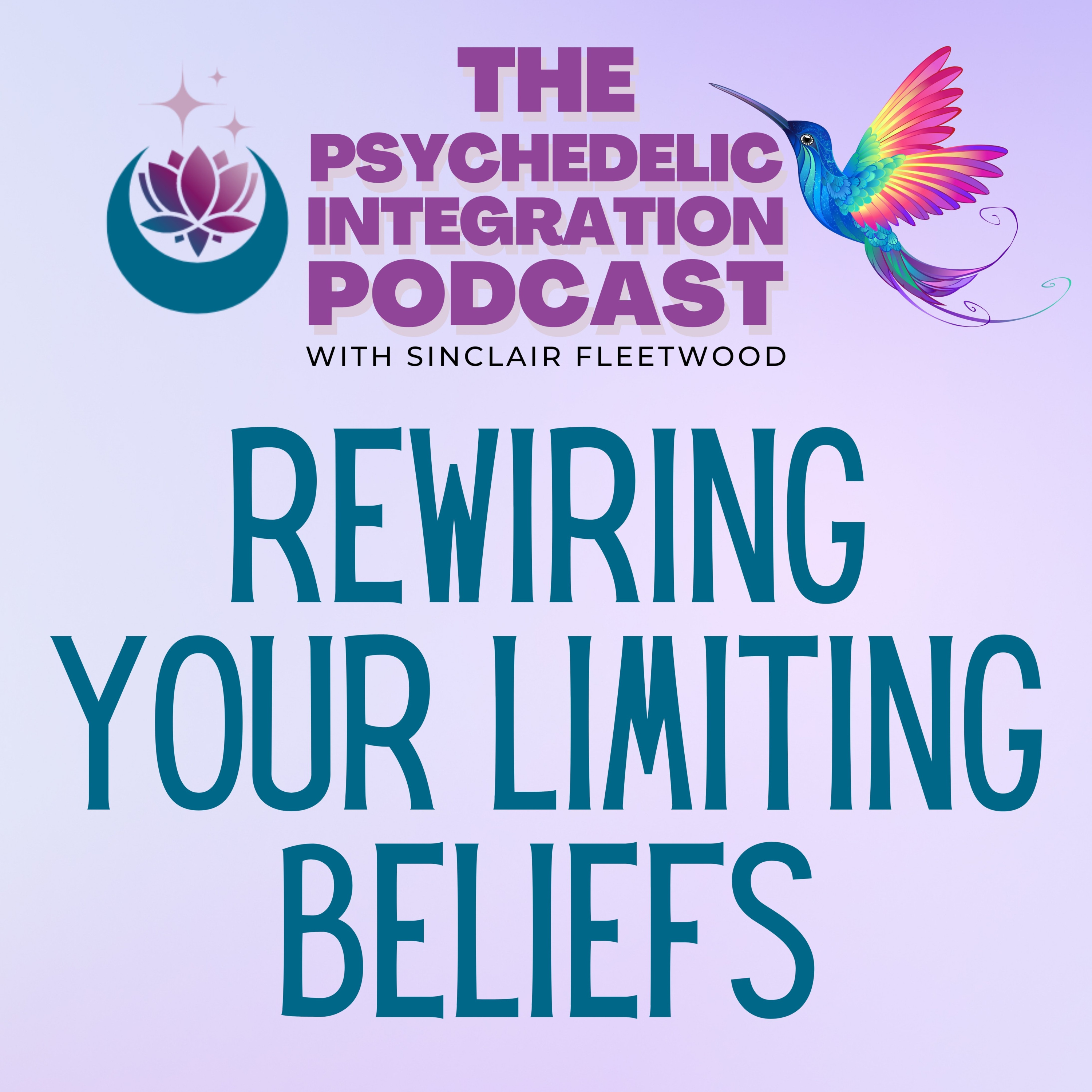 The Psychedelic Integration Podcast